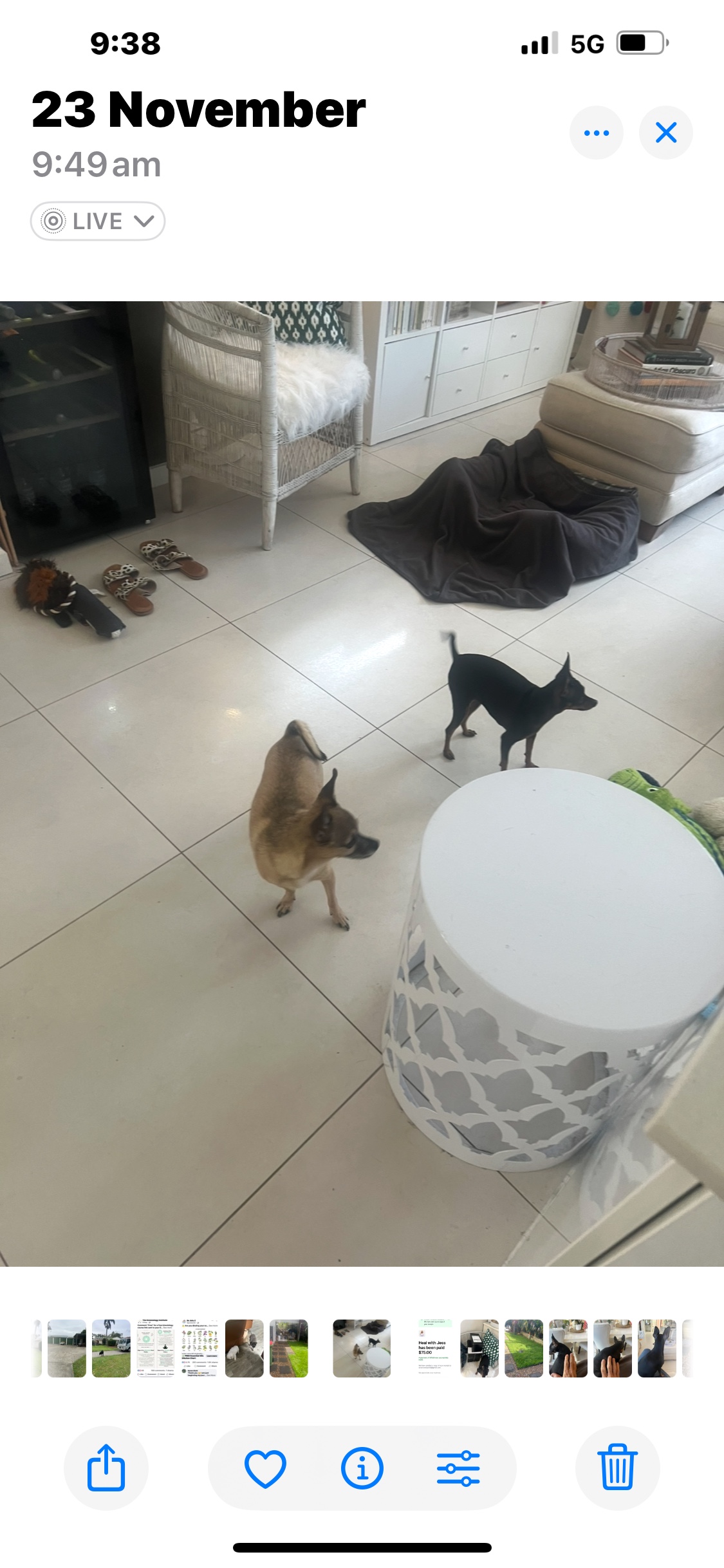 image-12