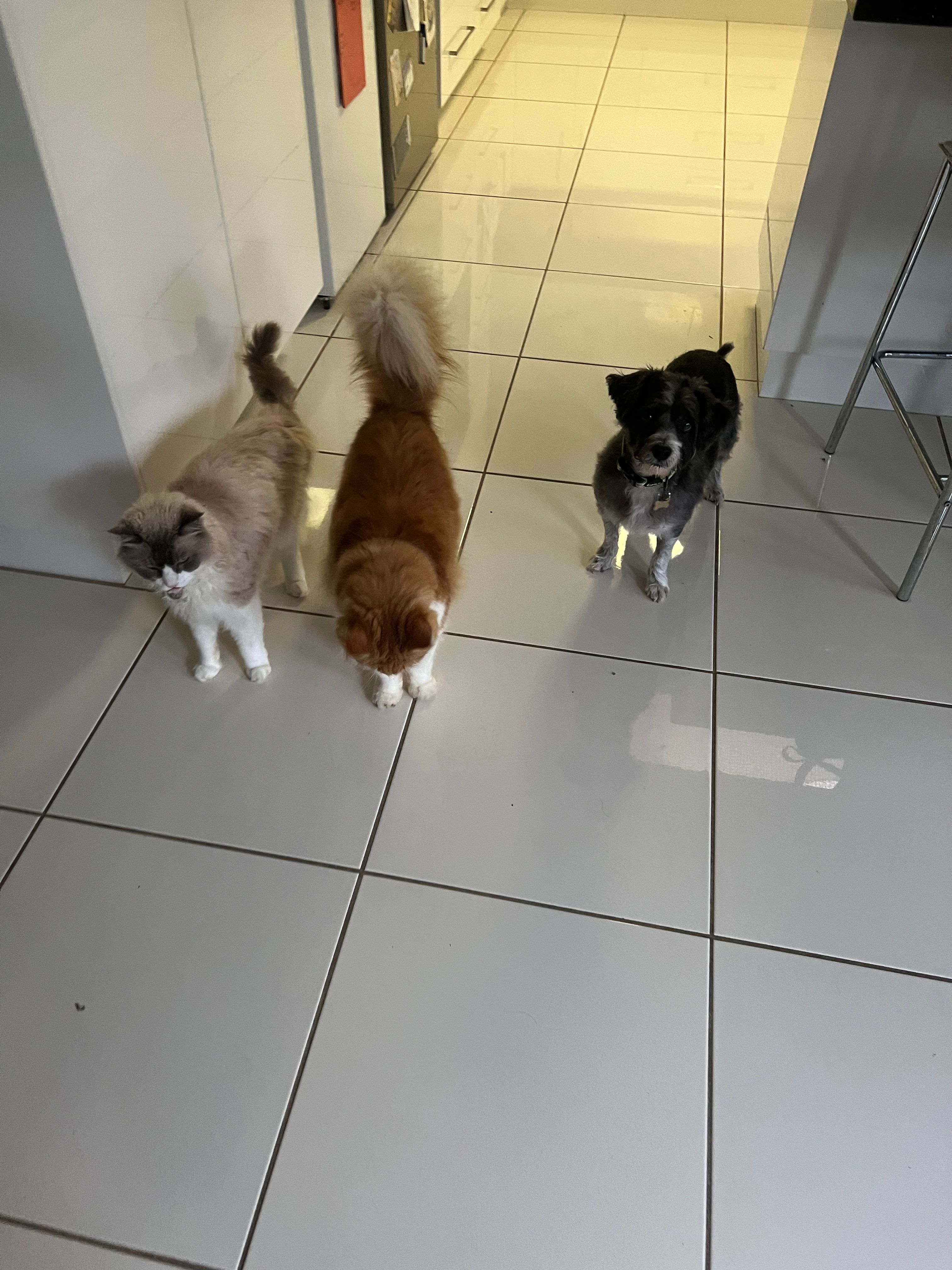 image-14