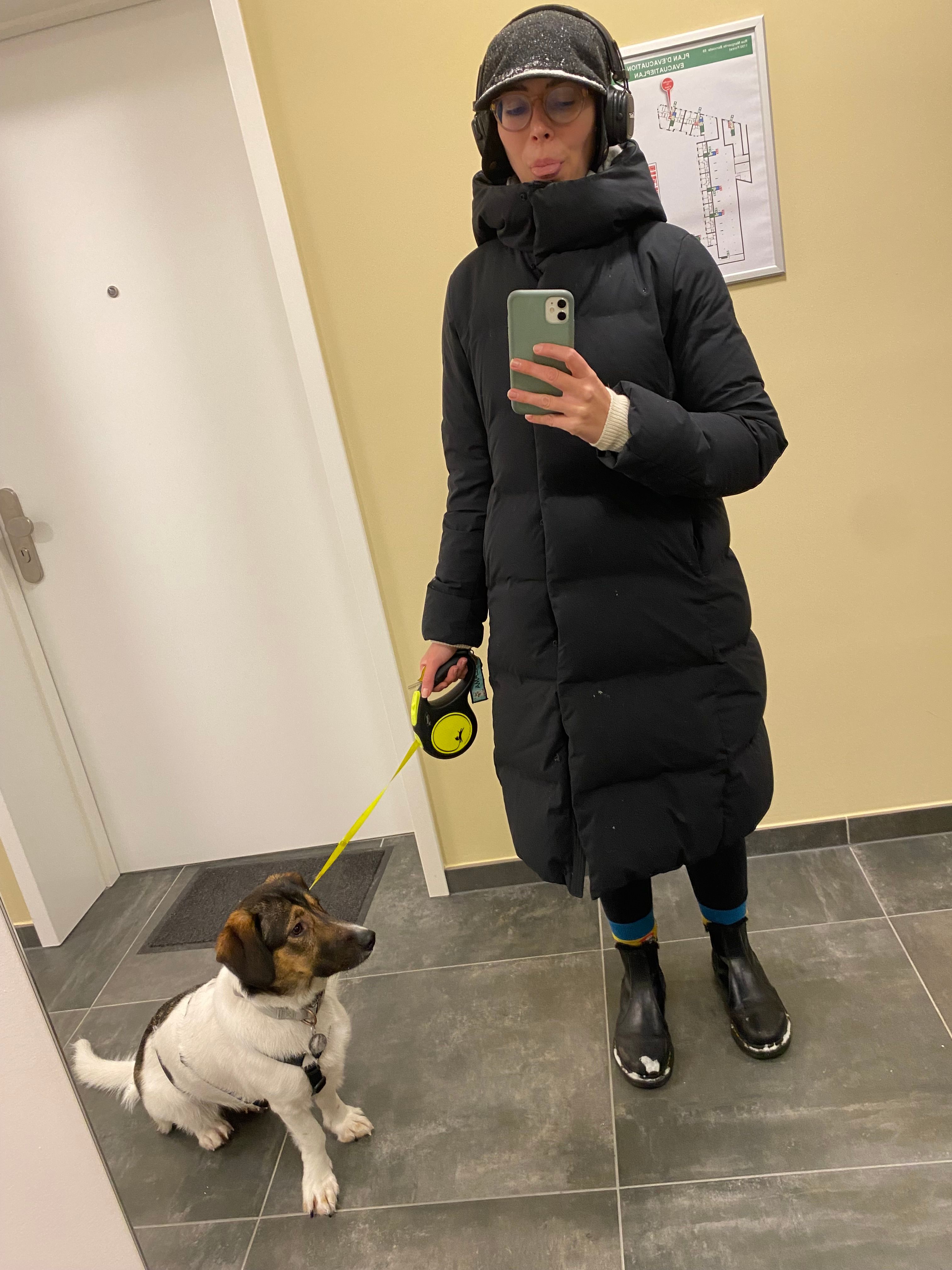 image-6