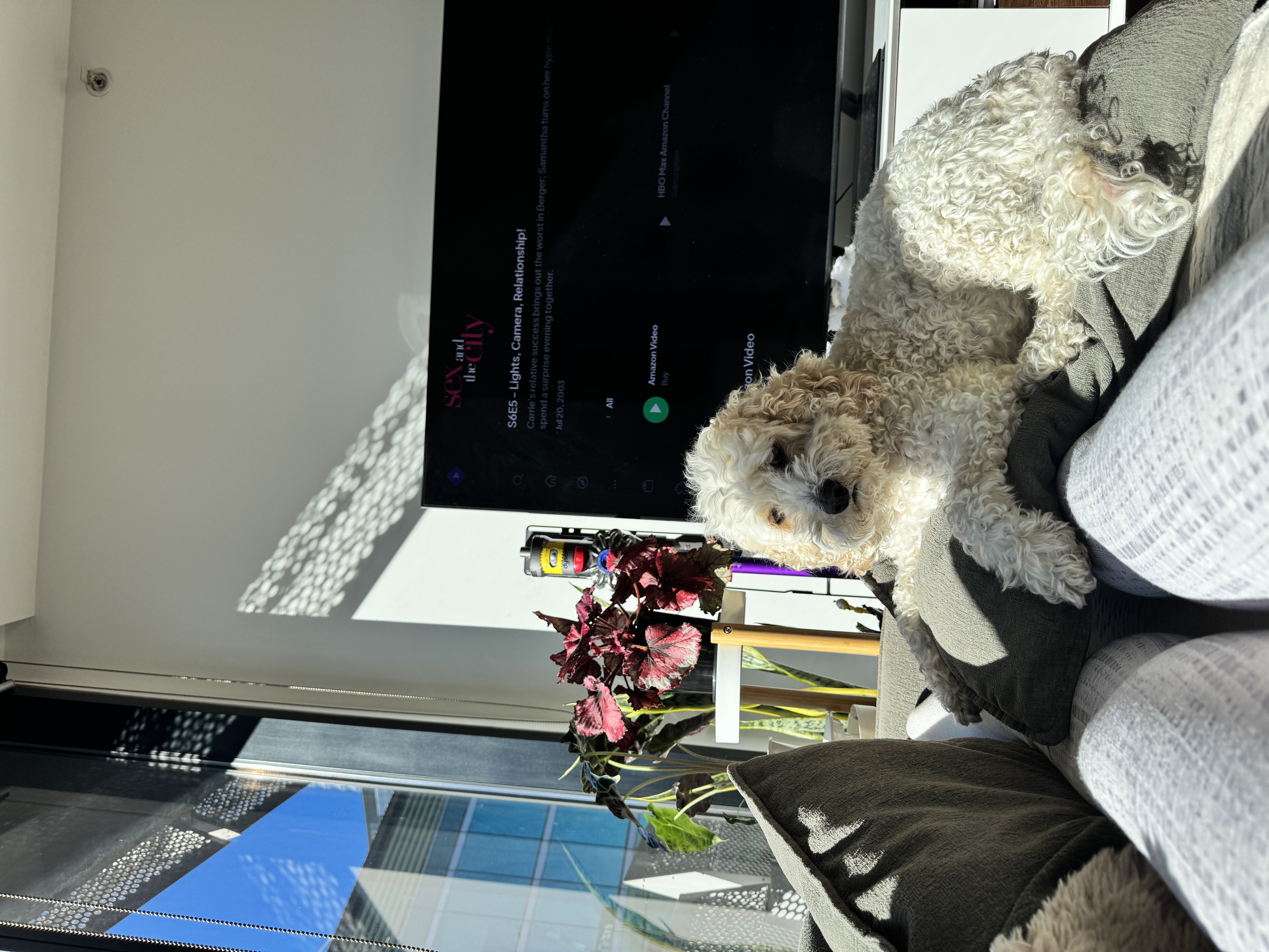 image-11