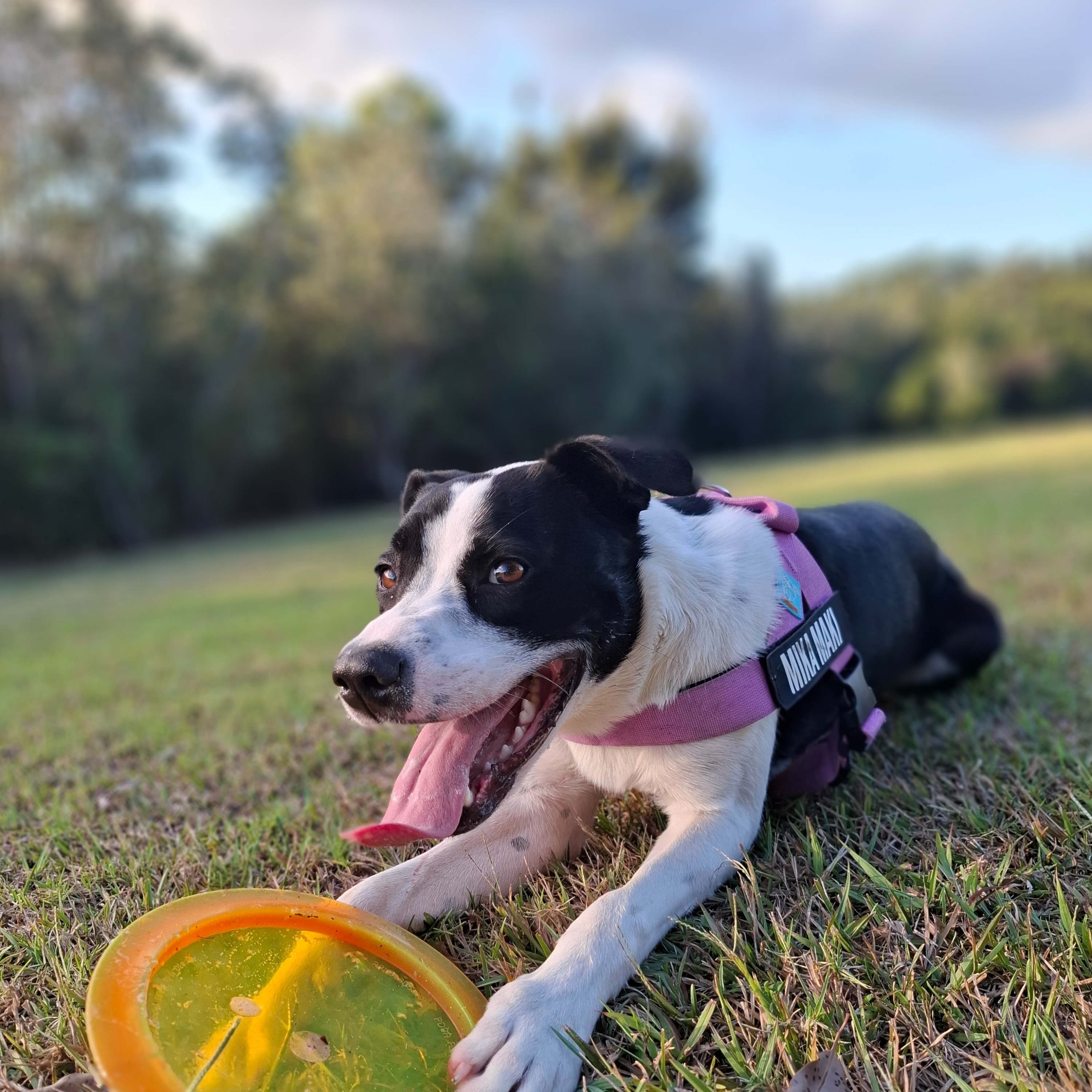 Mika