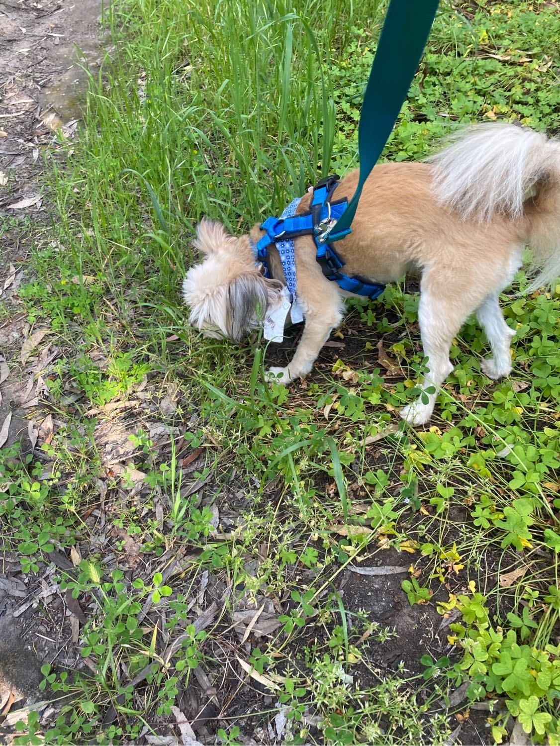image-9