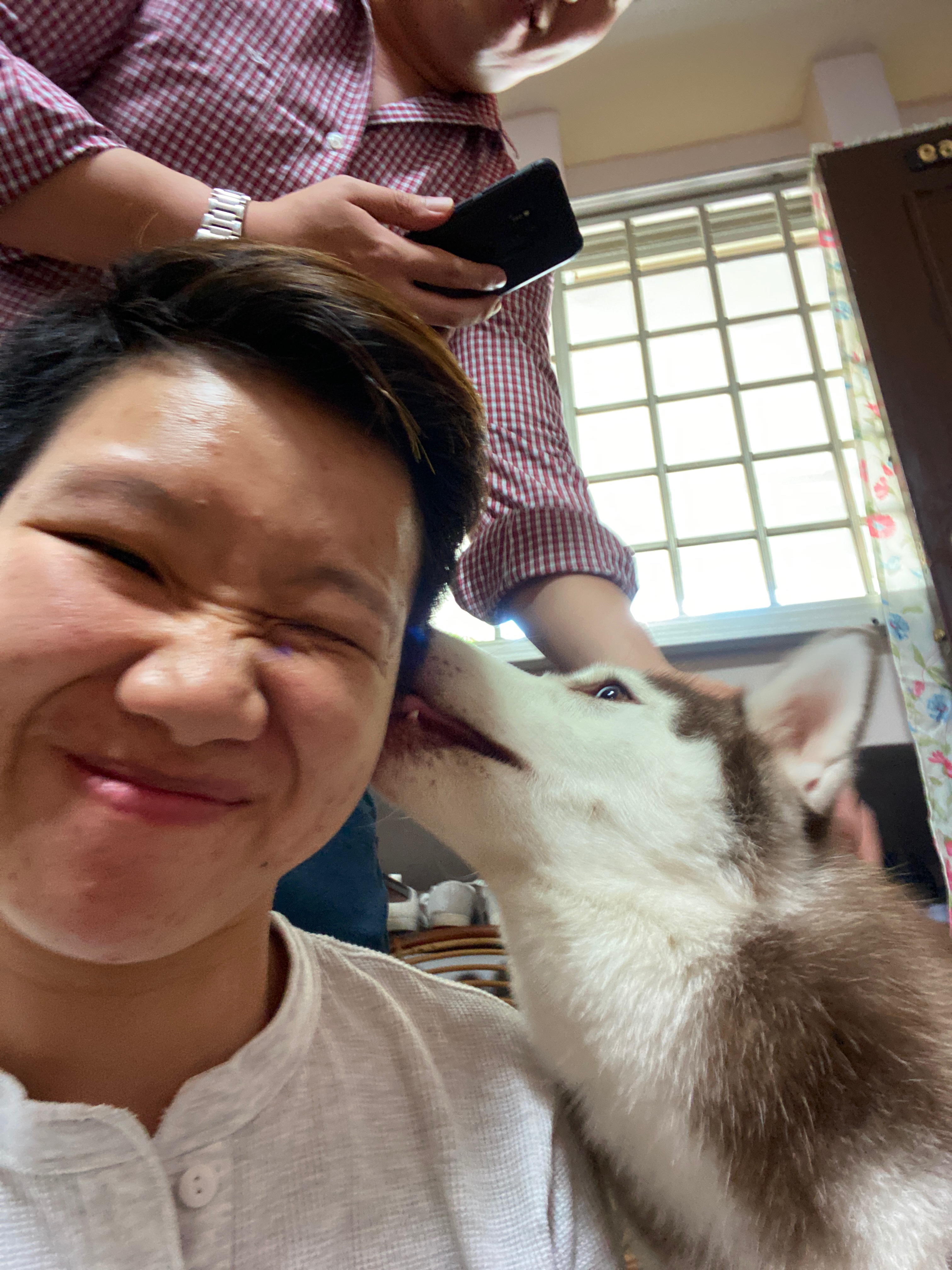 image-8
