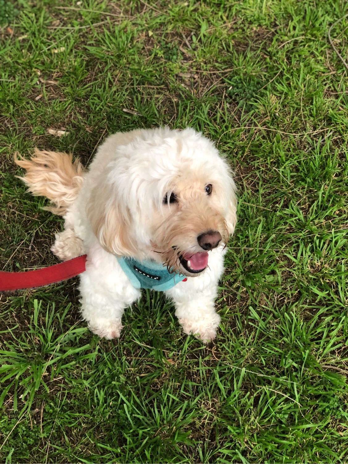 image-28