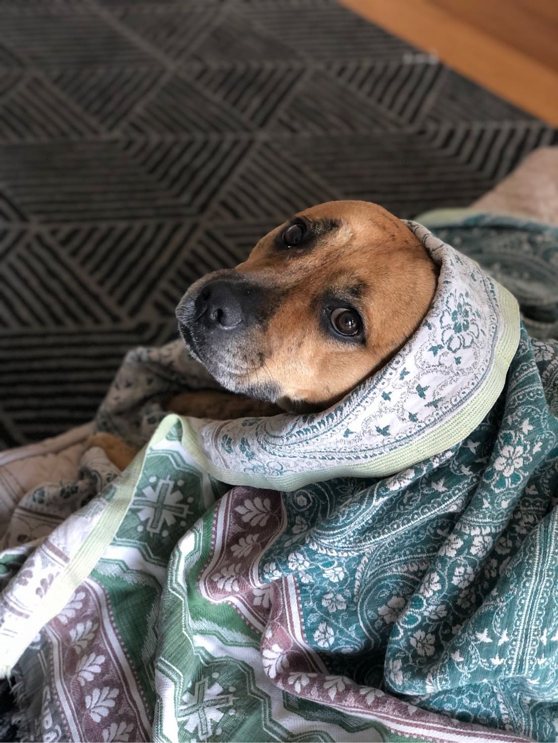 image-23