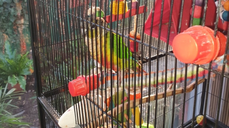 image-2