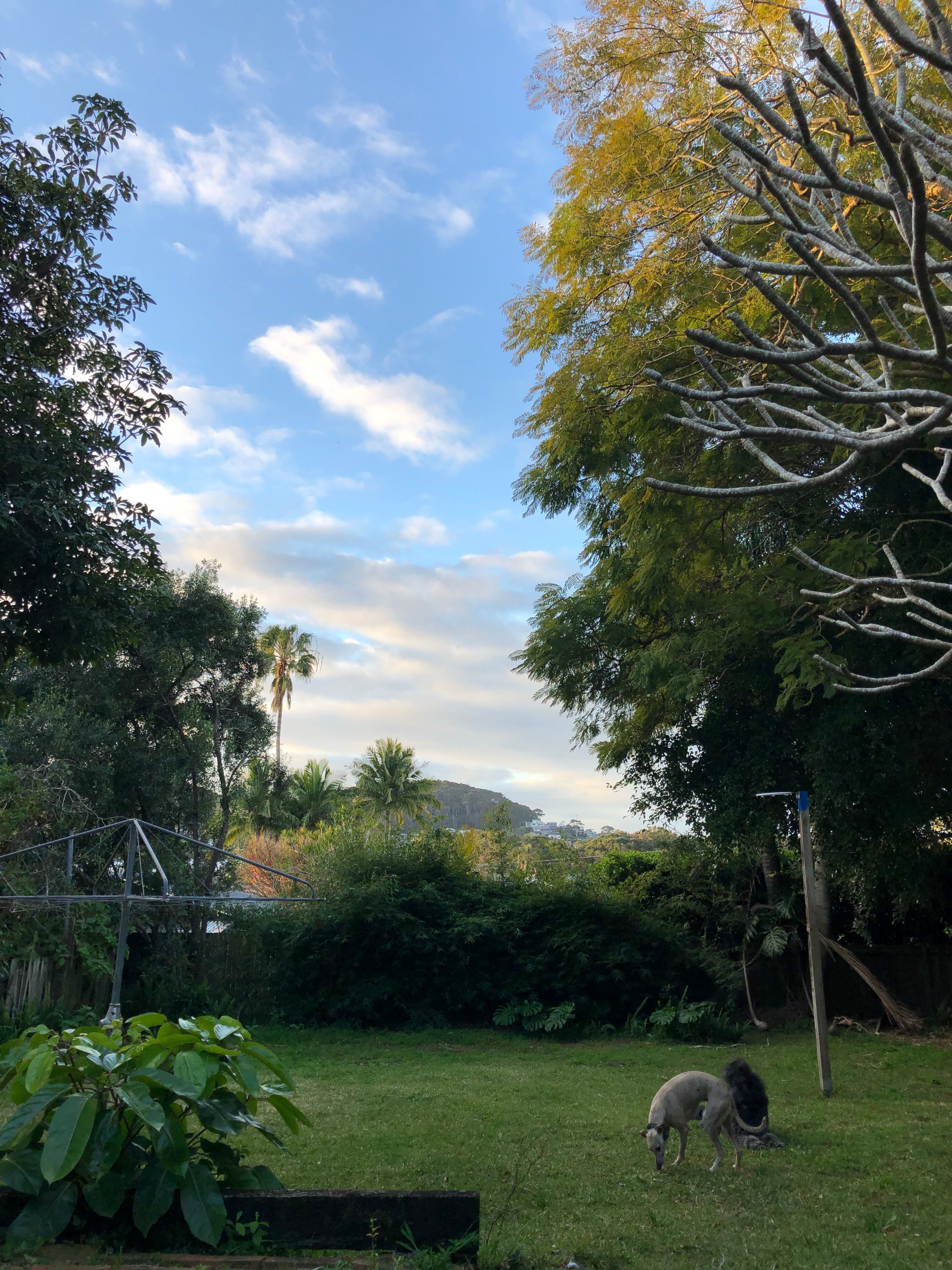 image-13