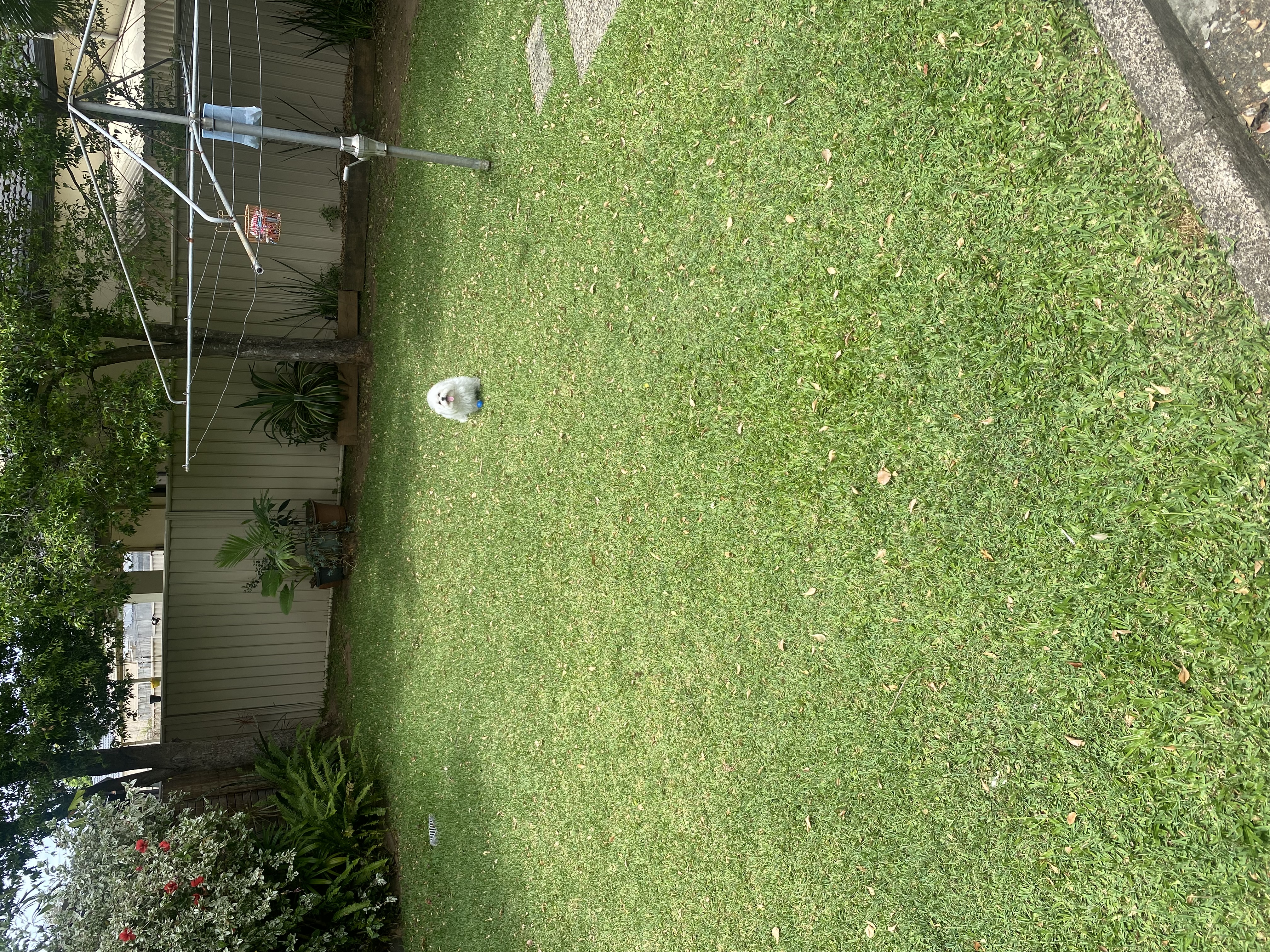 image-20