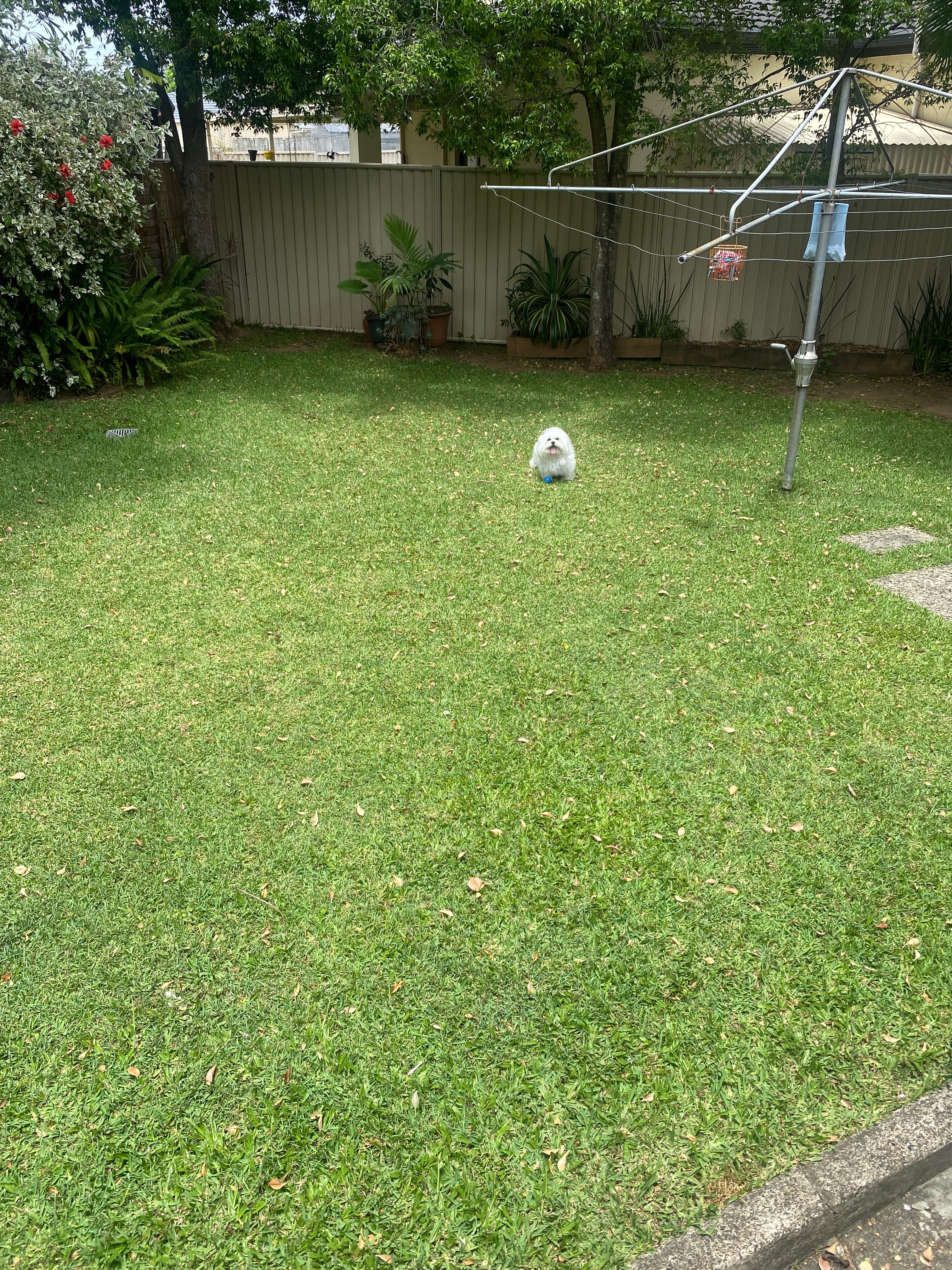 image-20