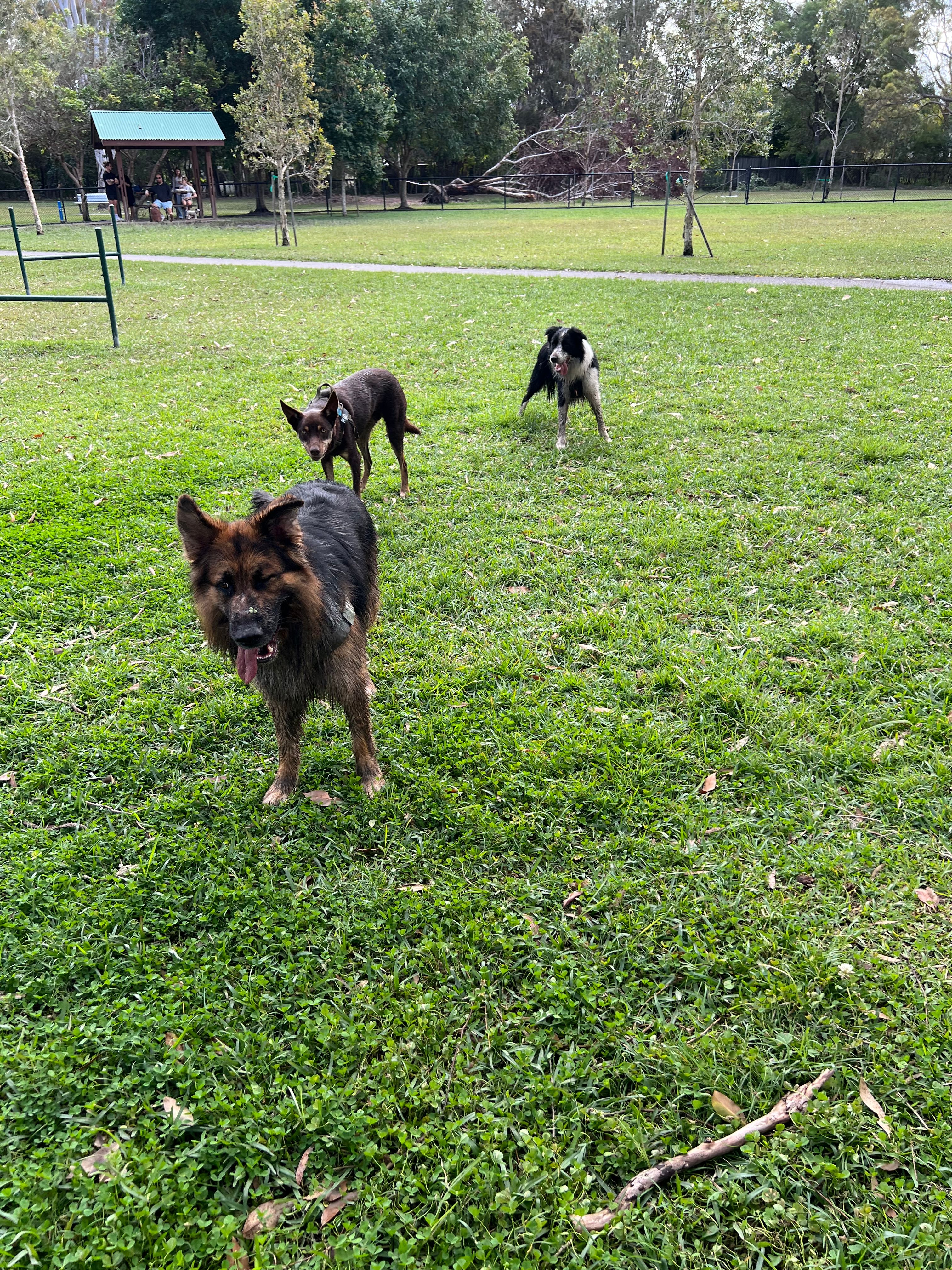 image-53