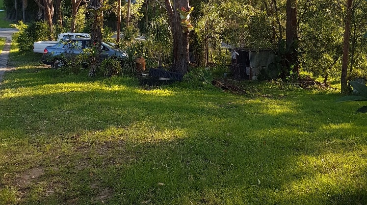 image-3