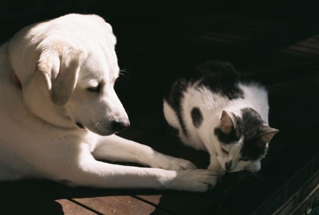image-31