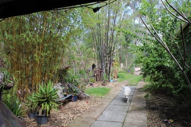 image-13