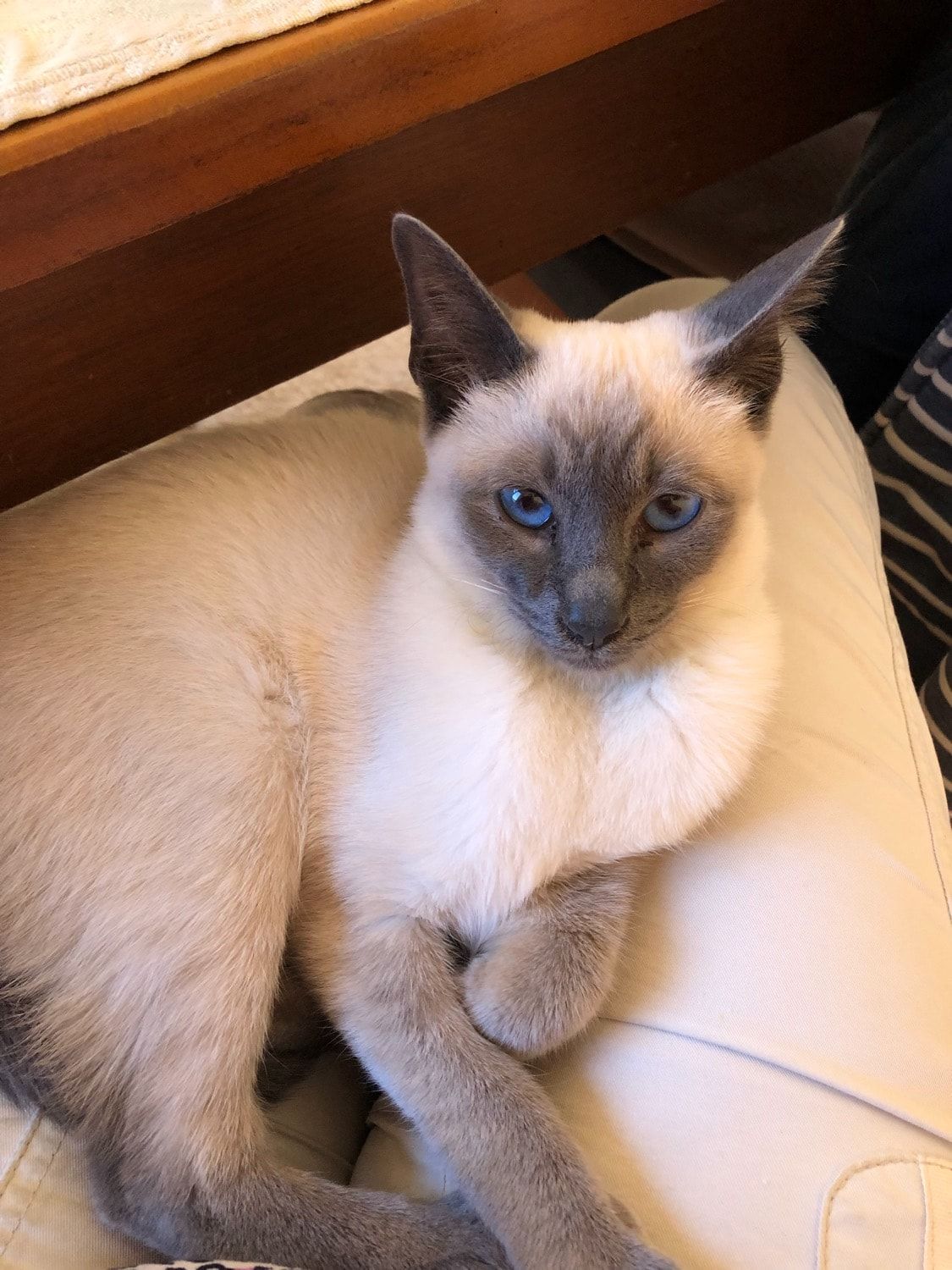 Ted