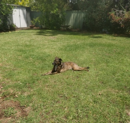 image-8