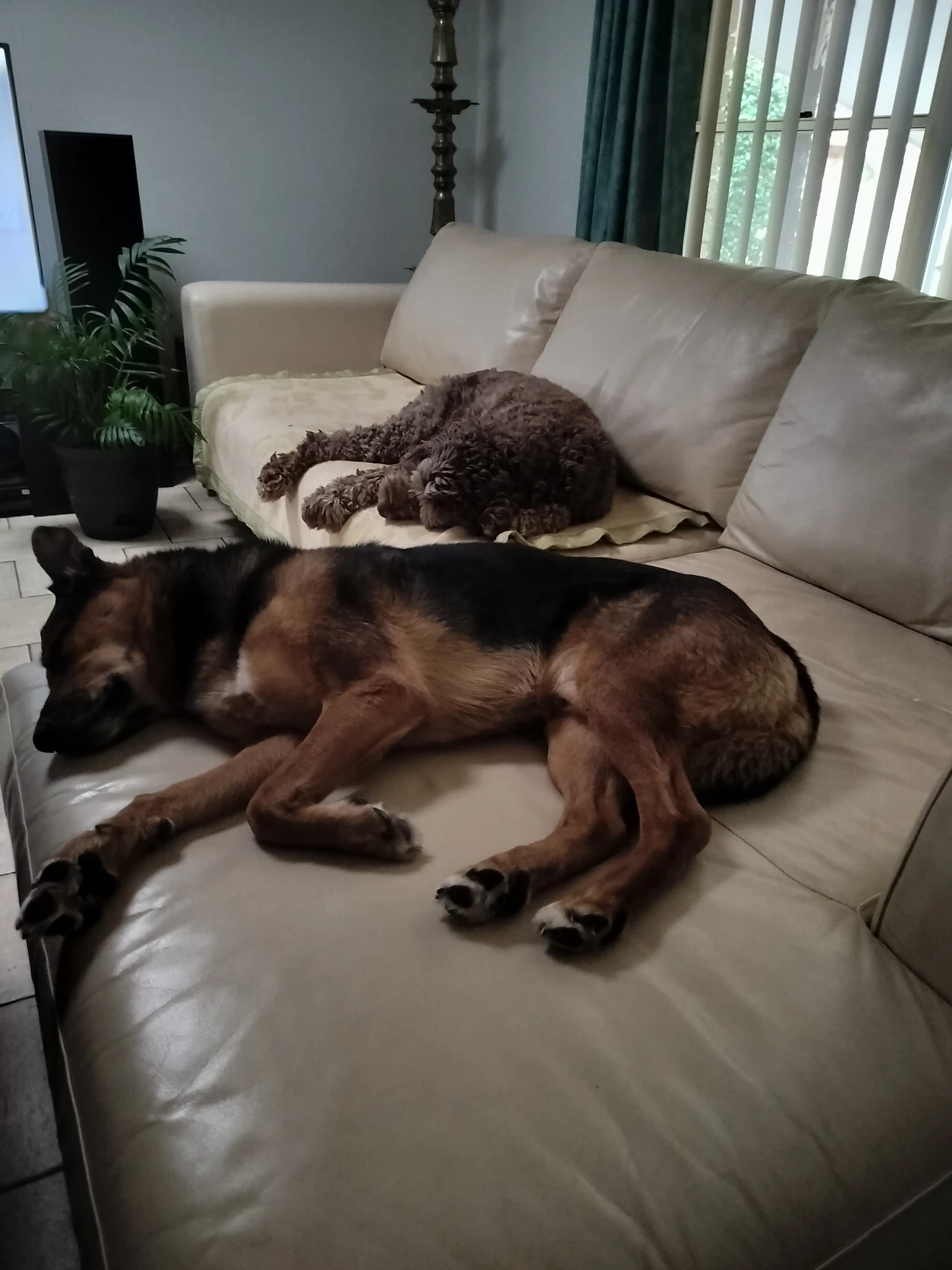 image-18