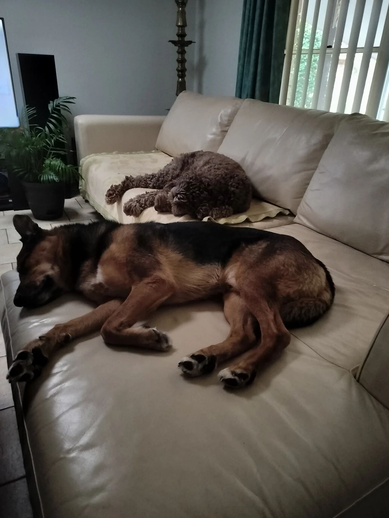 image-18