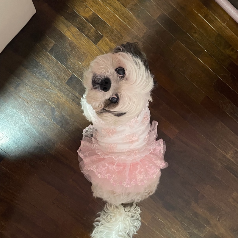 Tiffany