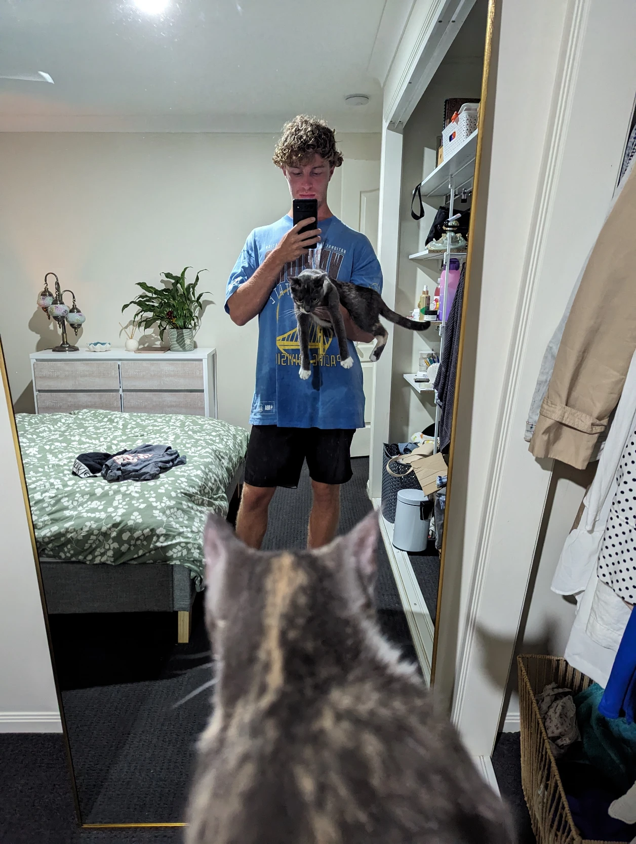 image-19