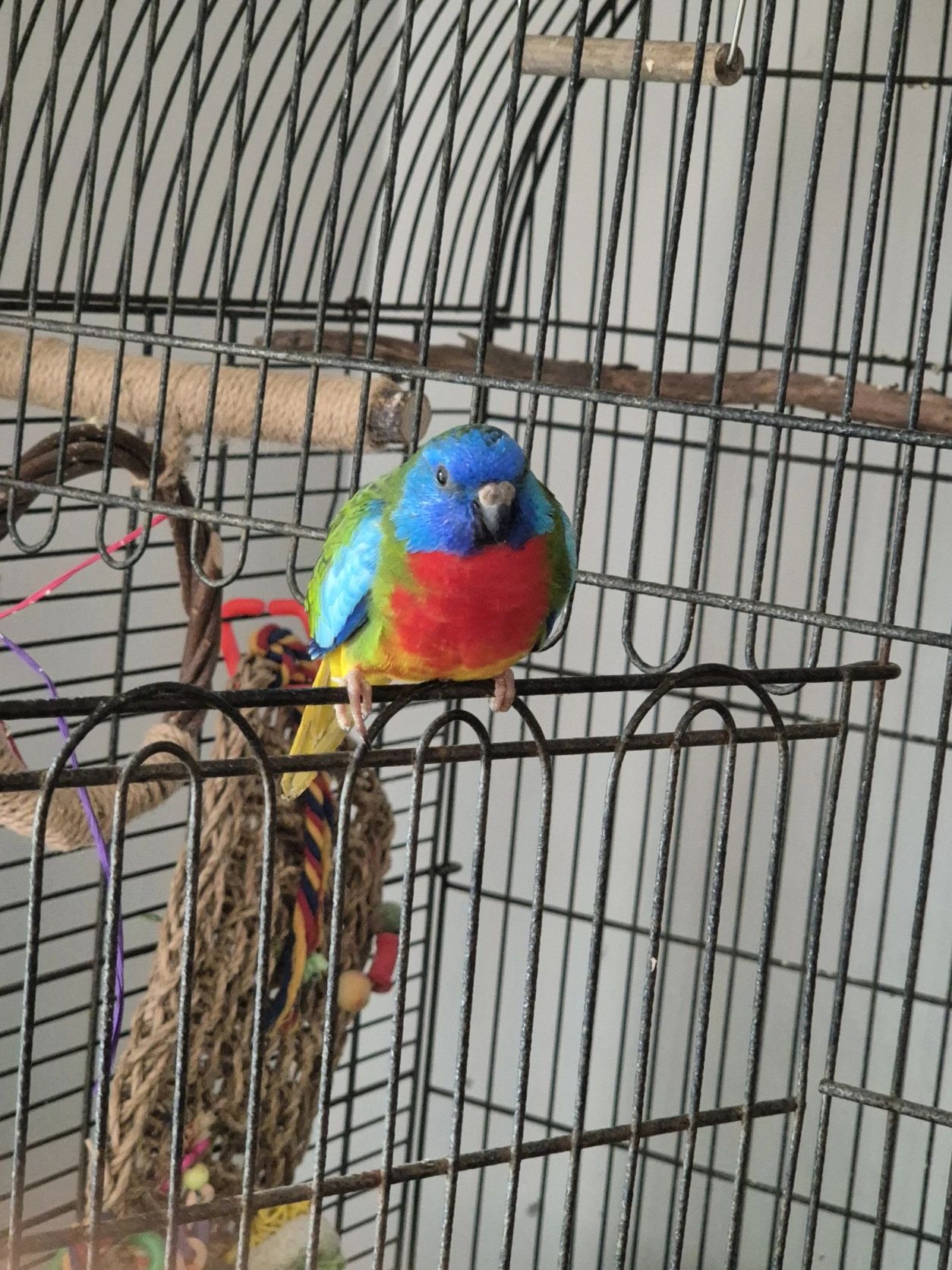 image-10