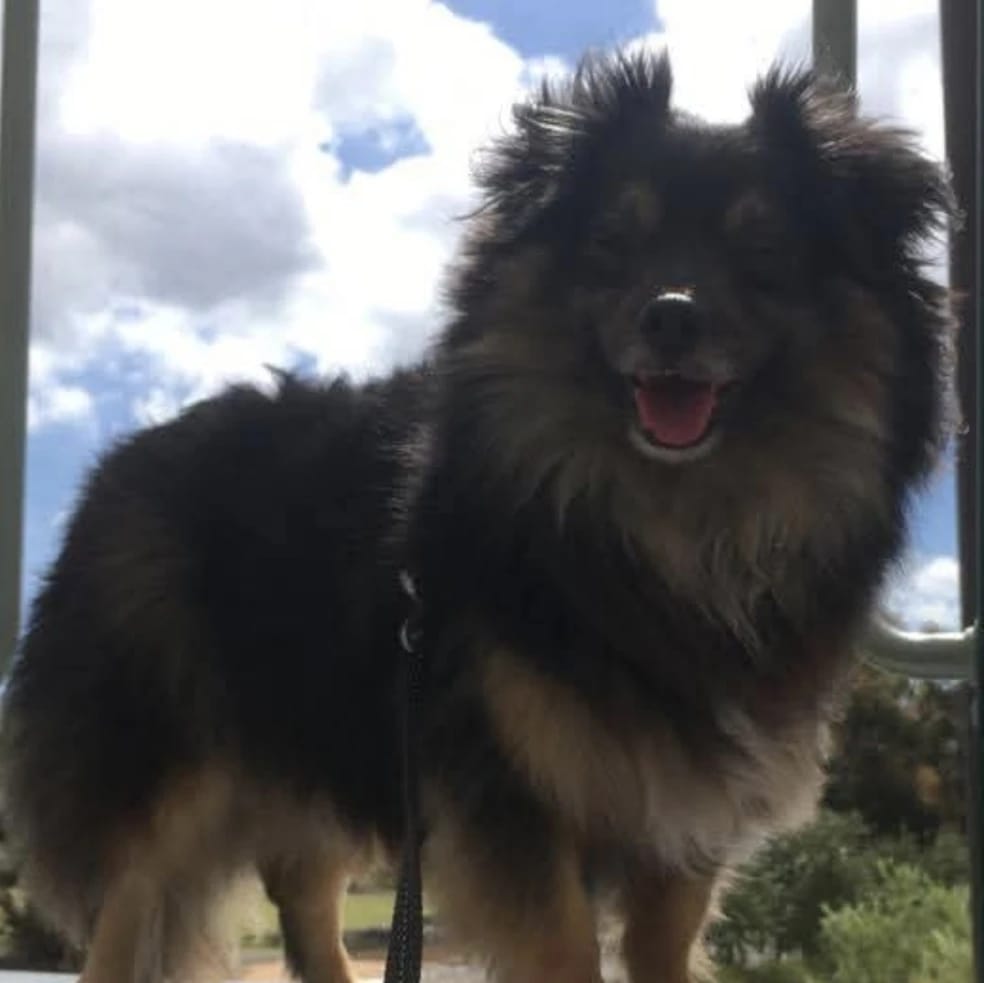 Bailey