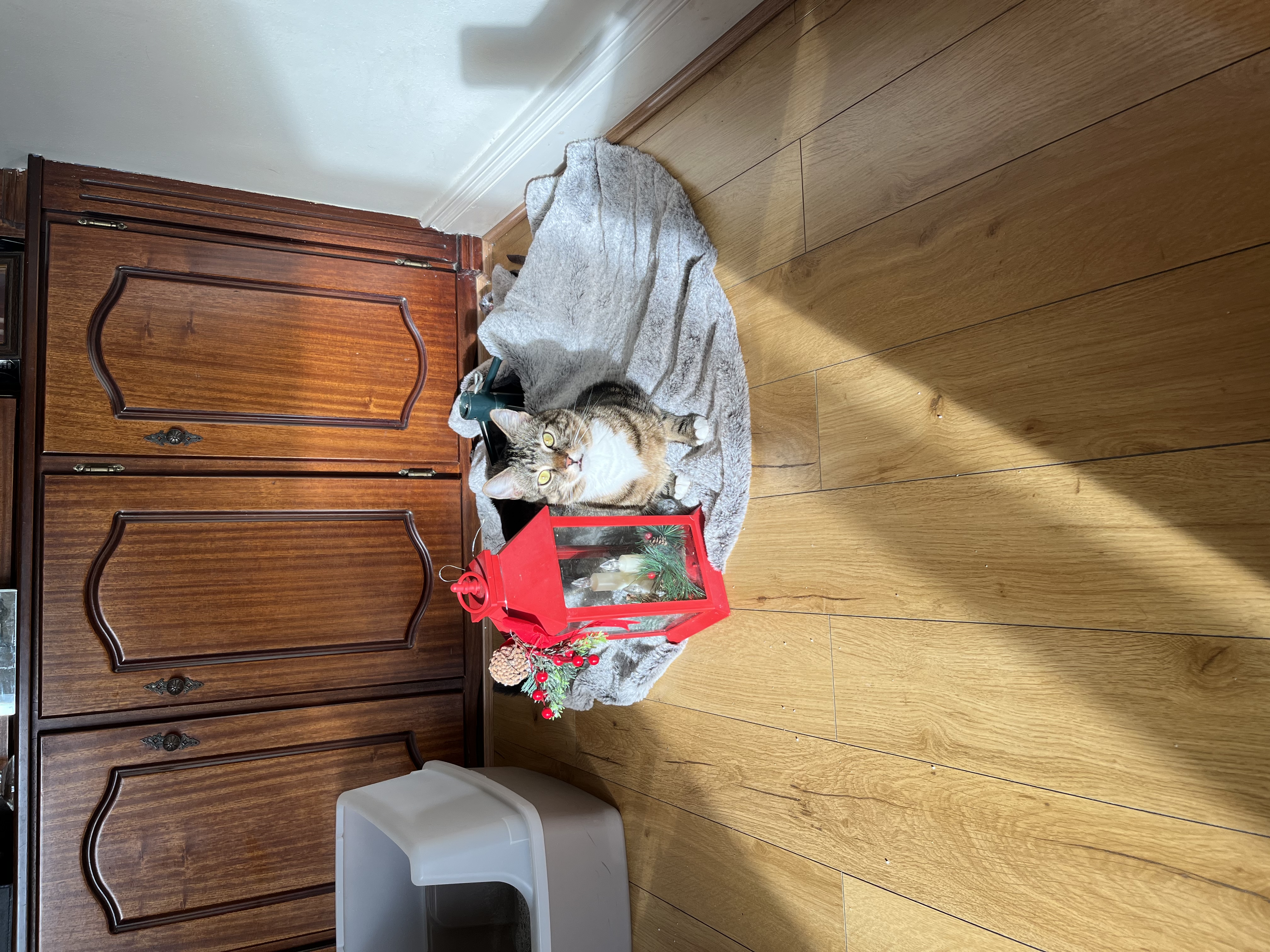 image-5