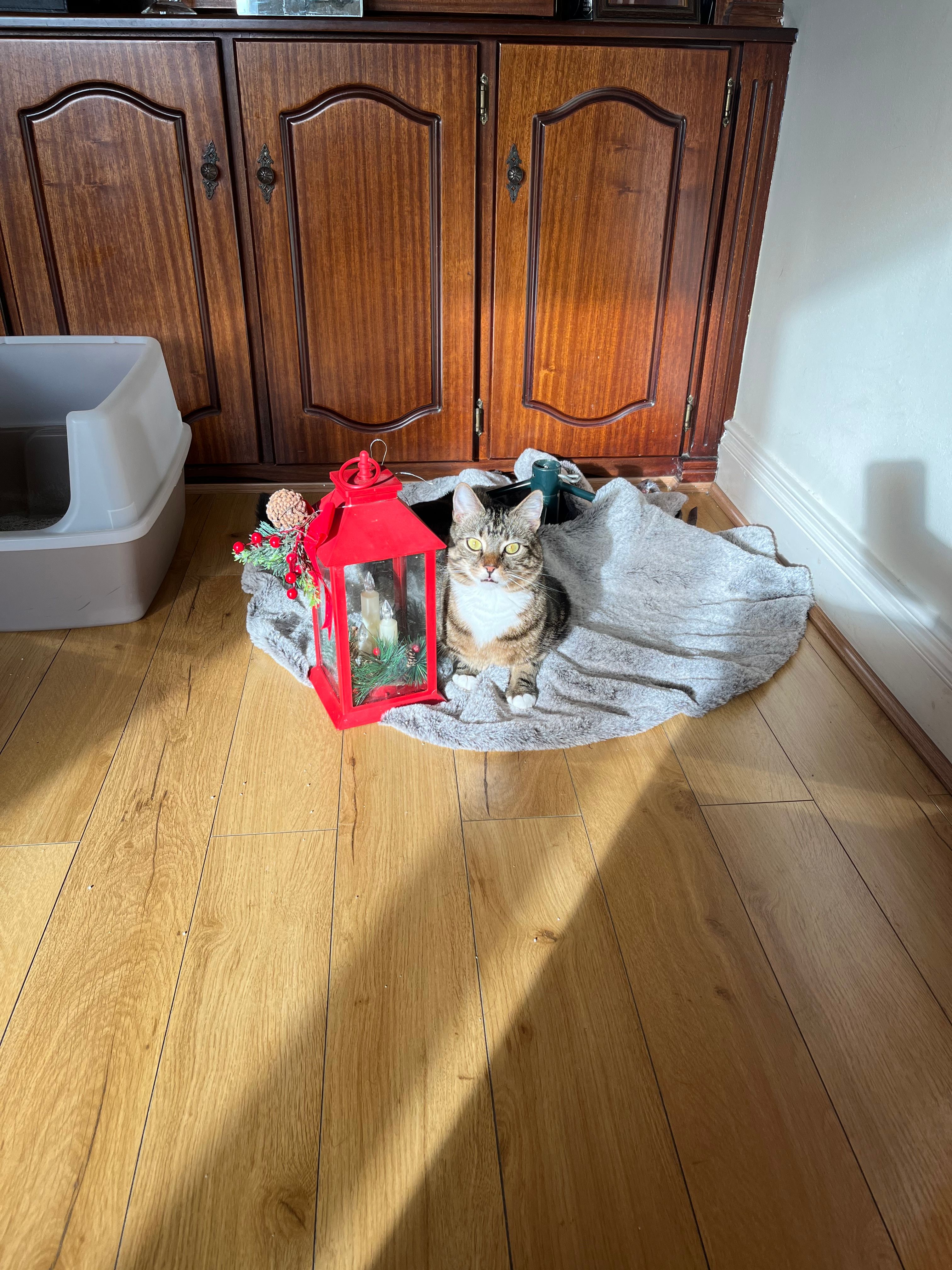 image-5