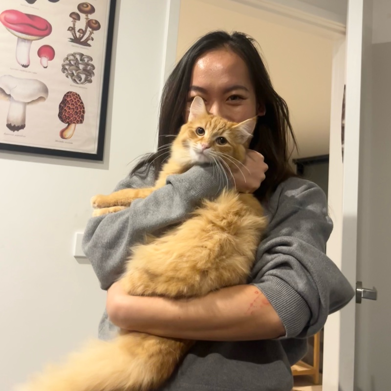 Suki