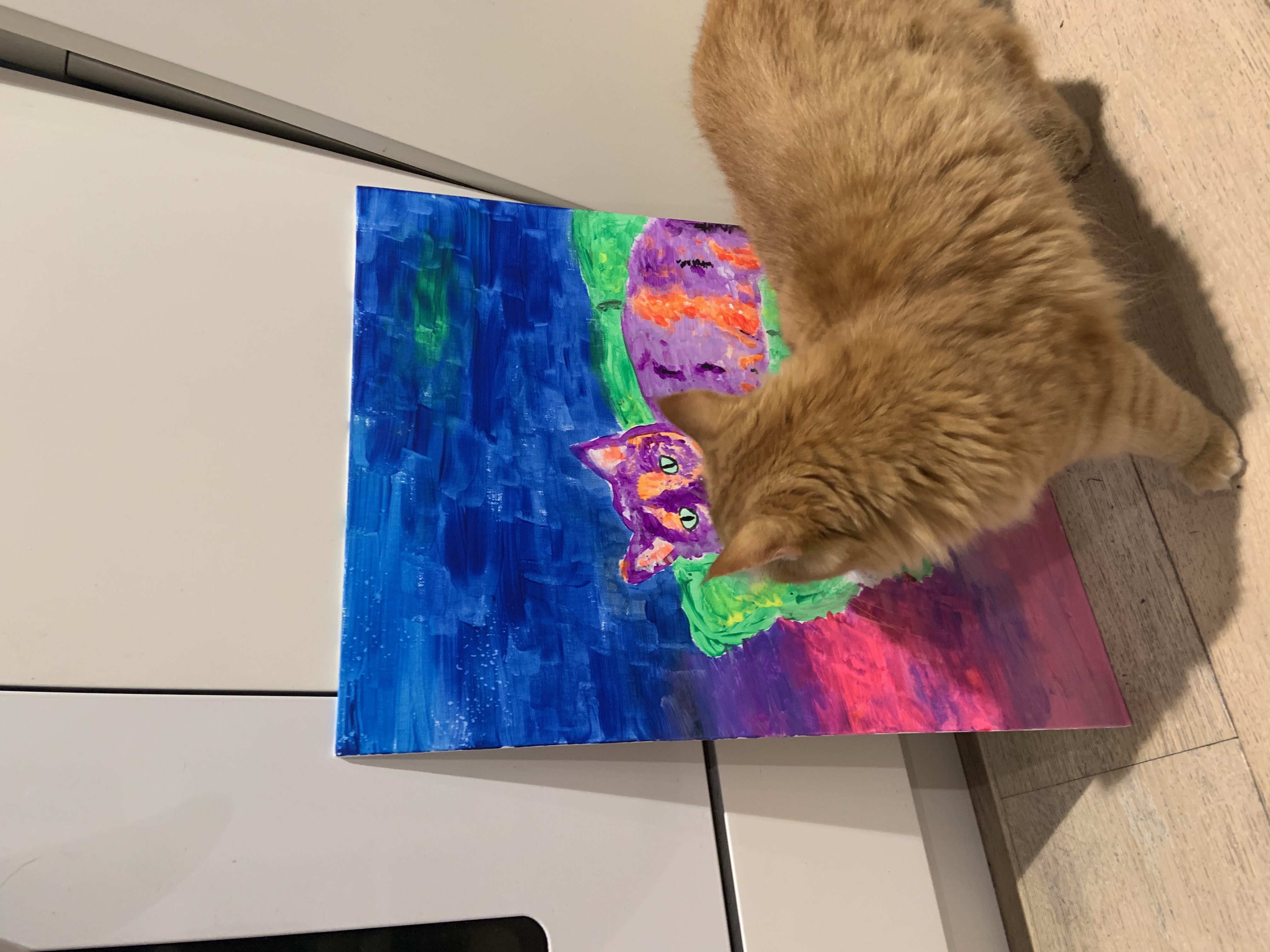 image-11