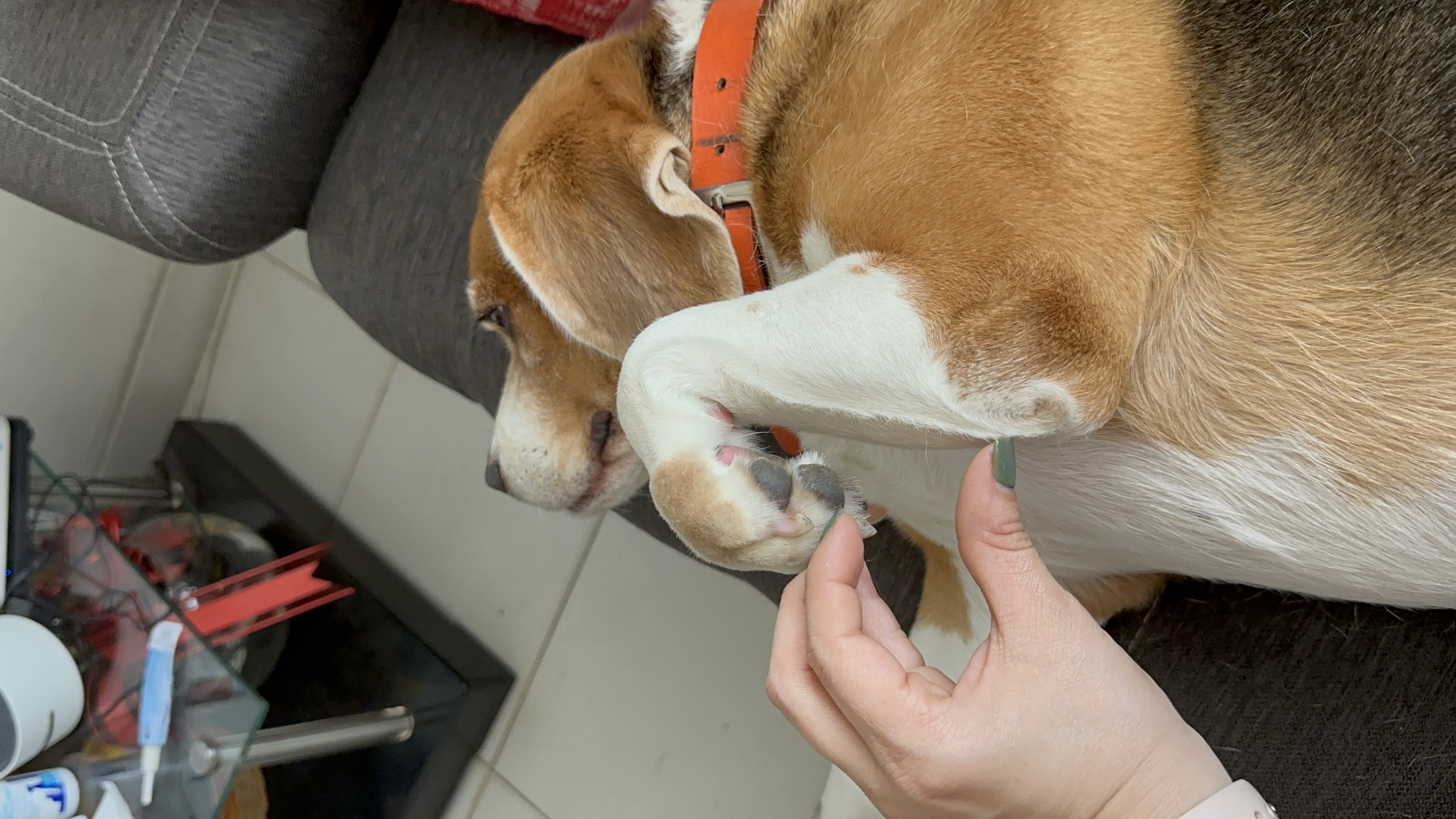 image-8