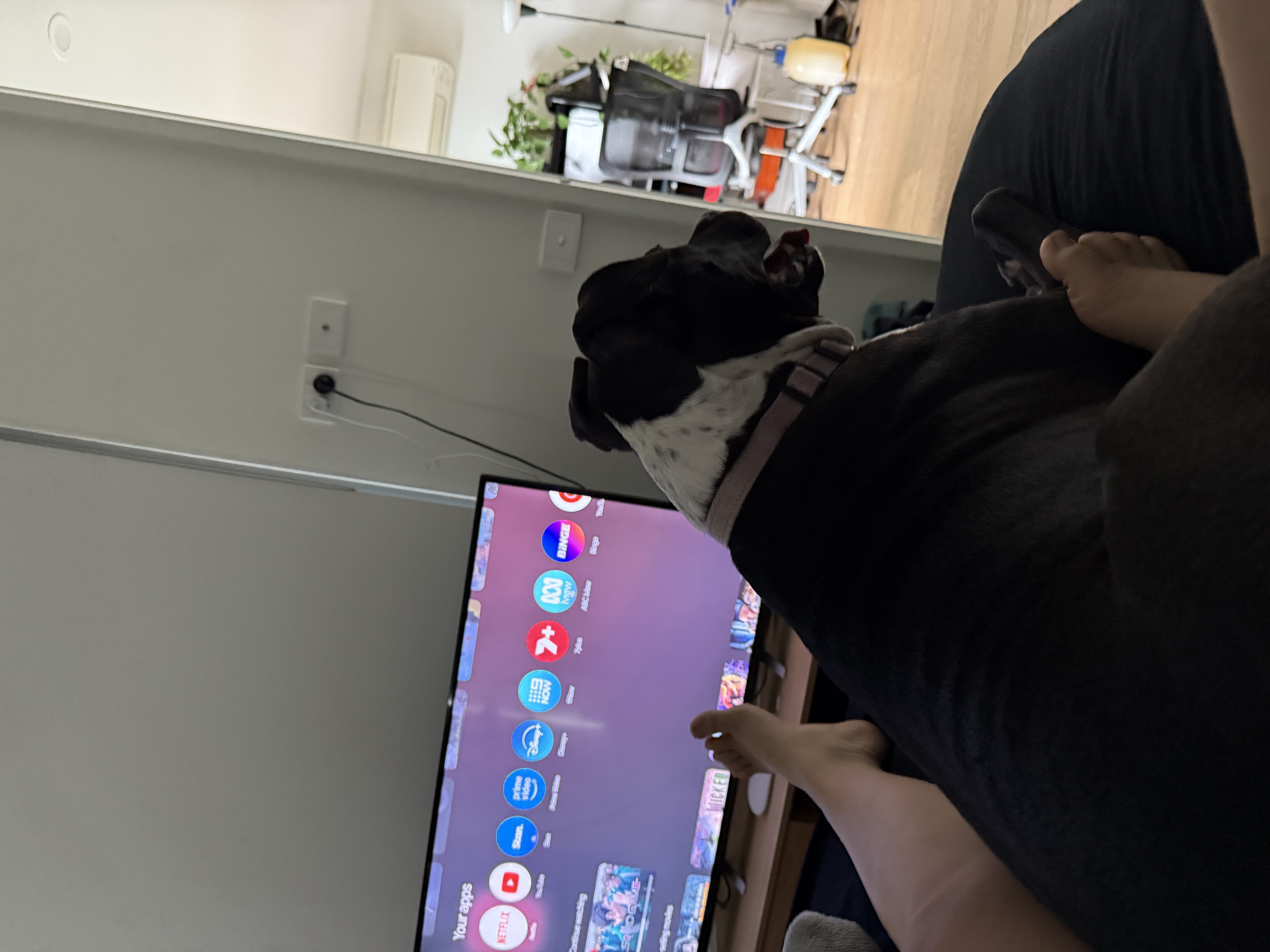 image-7
