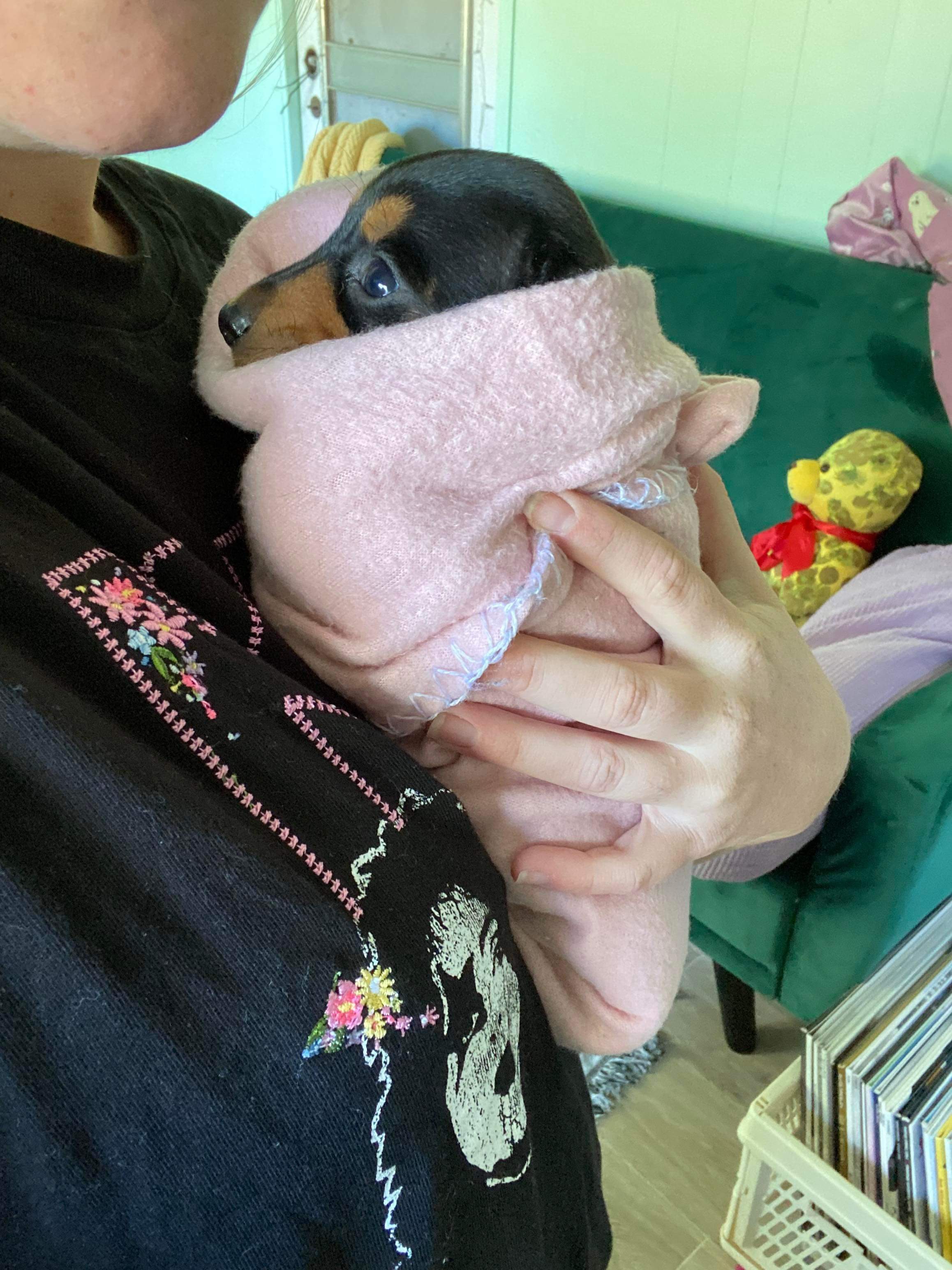 image-12