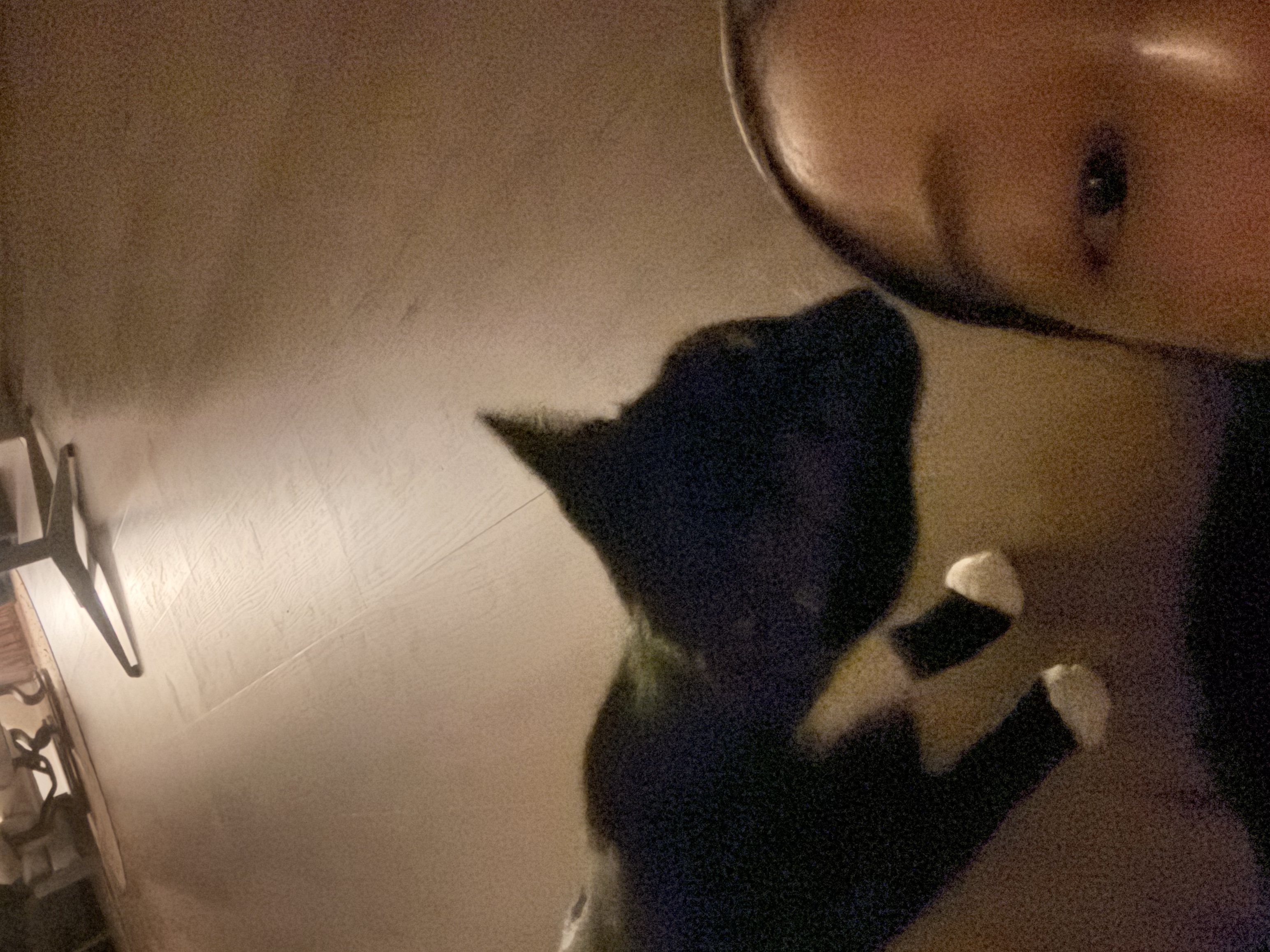 image-3