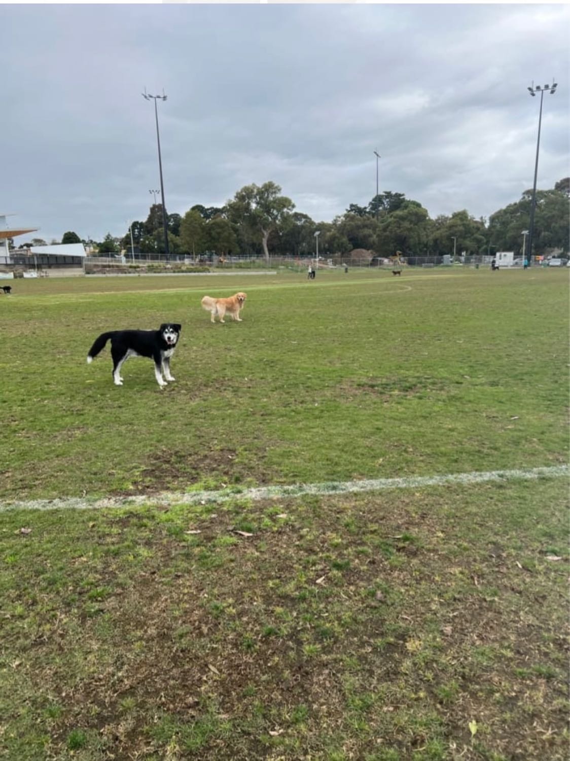 image-17