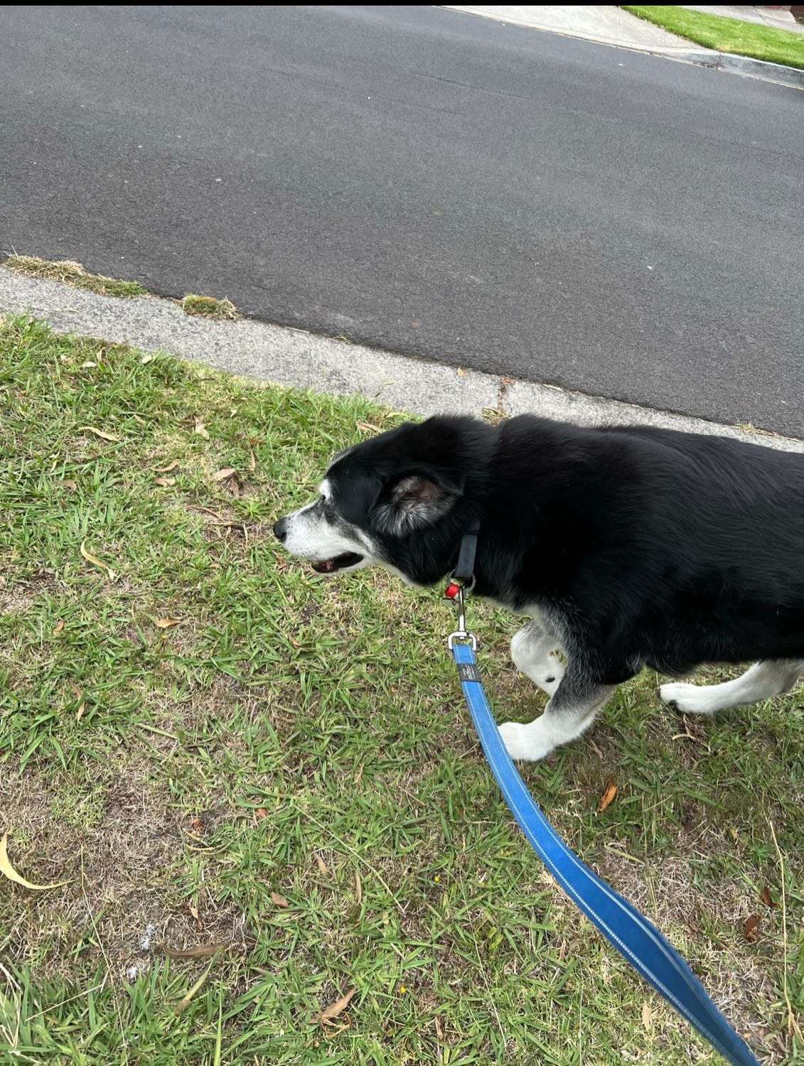 image-28