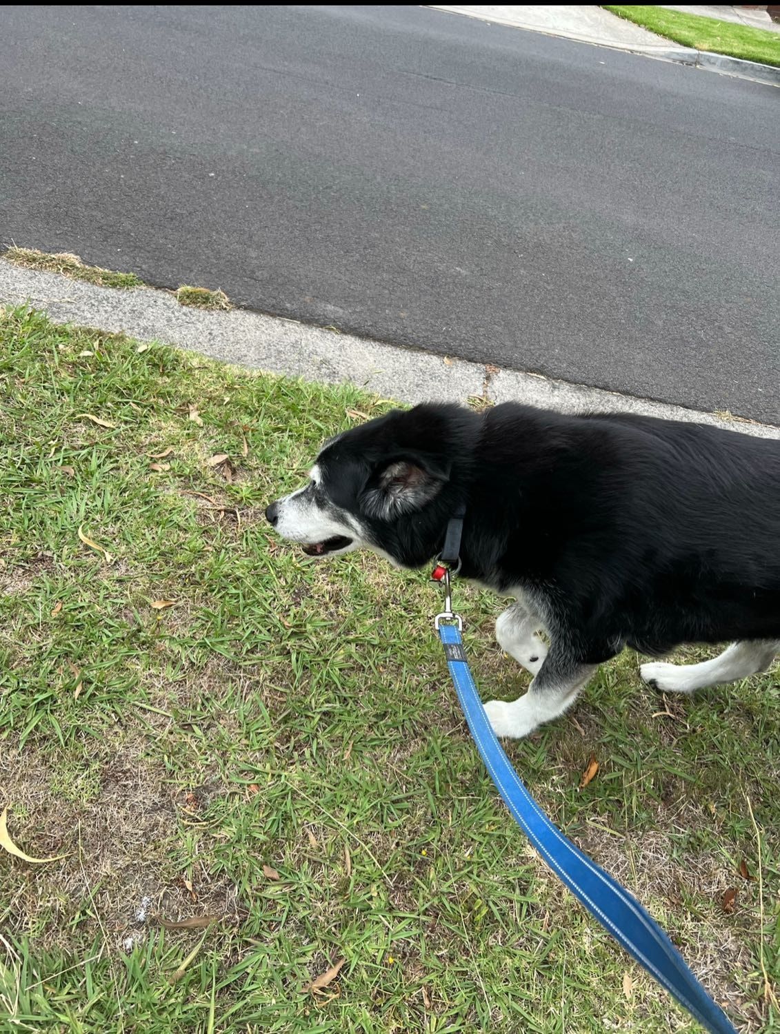 image-28