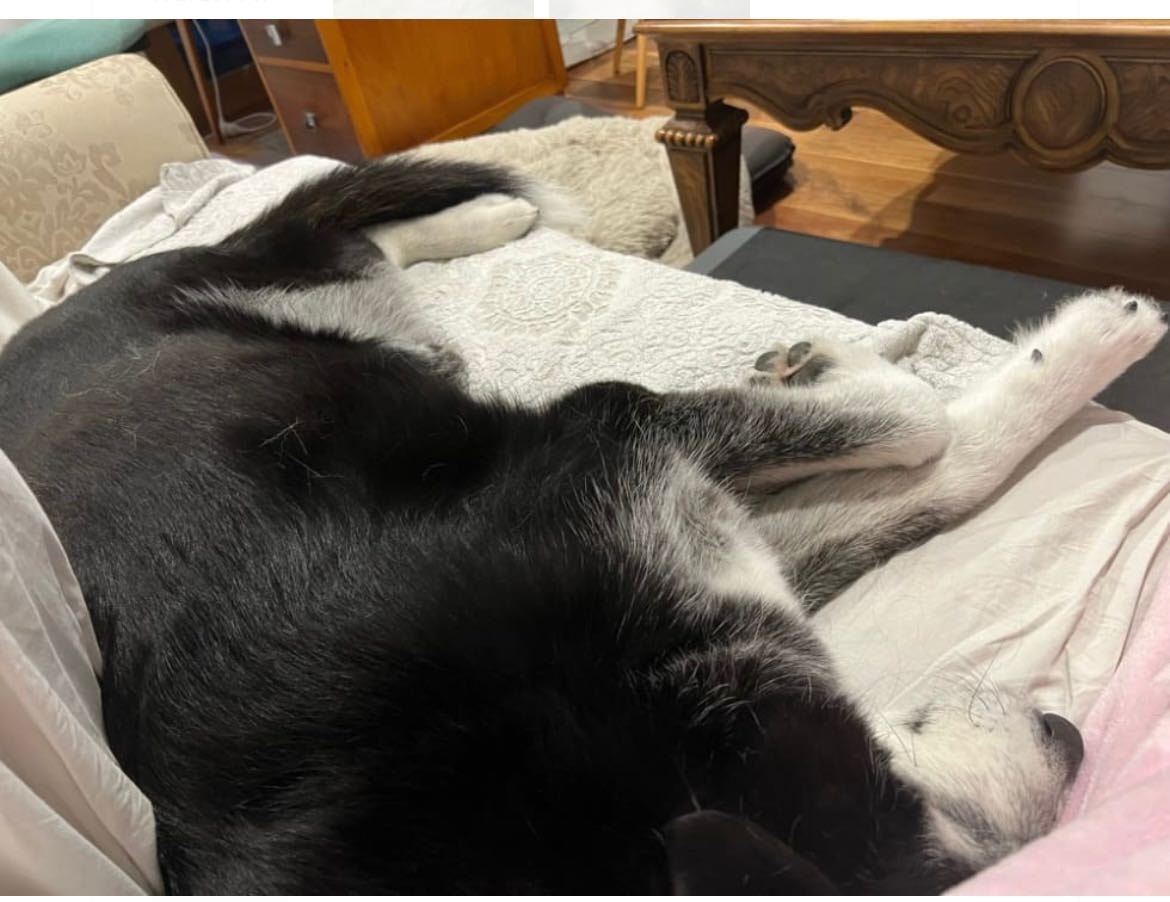 image-18
