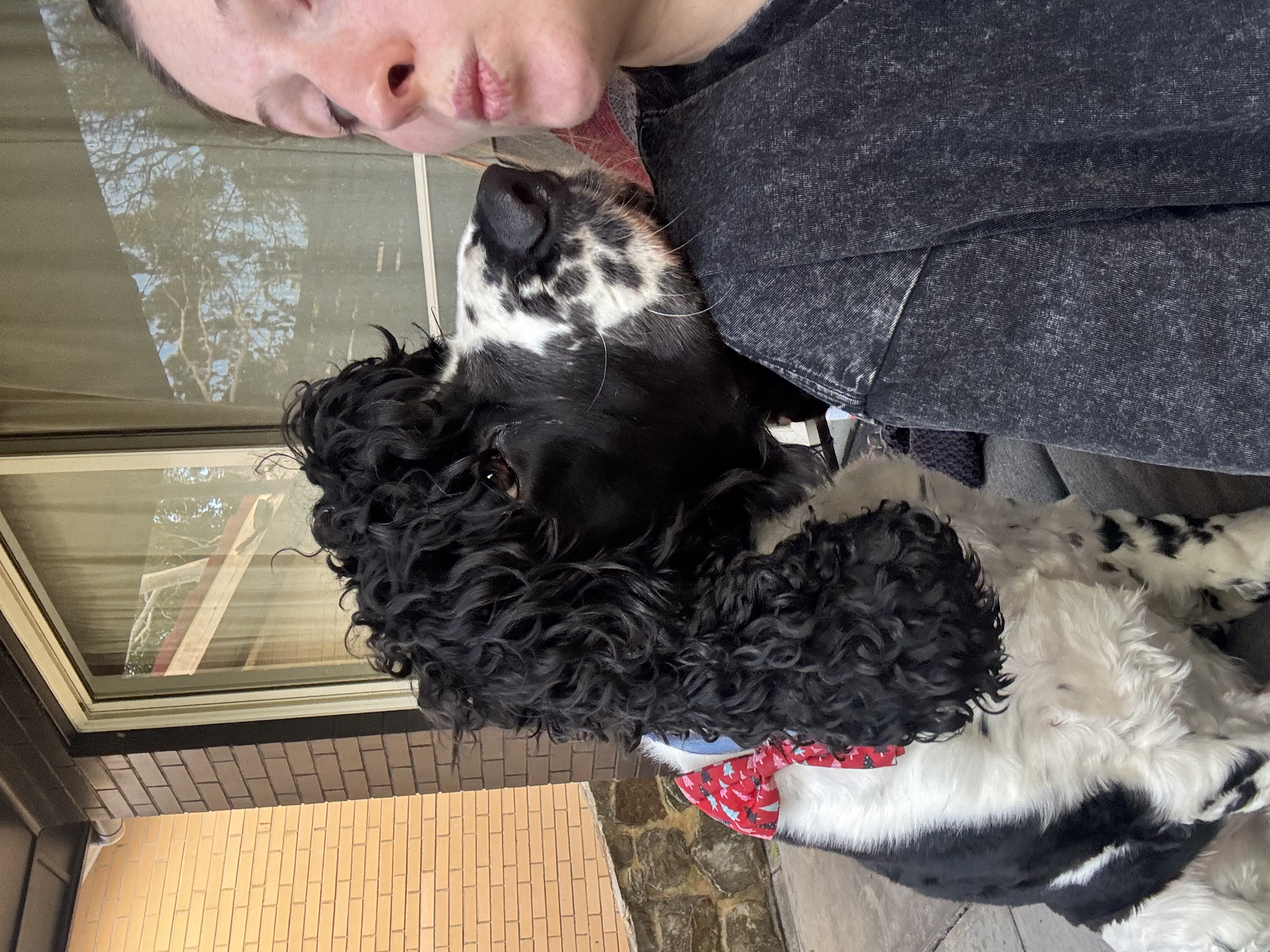 image-8