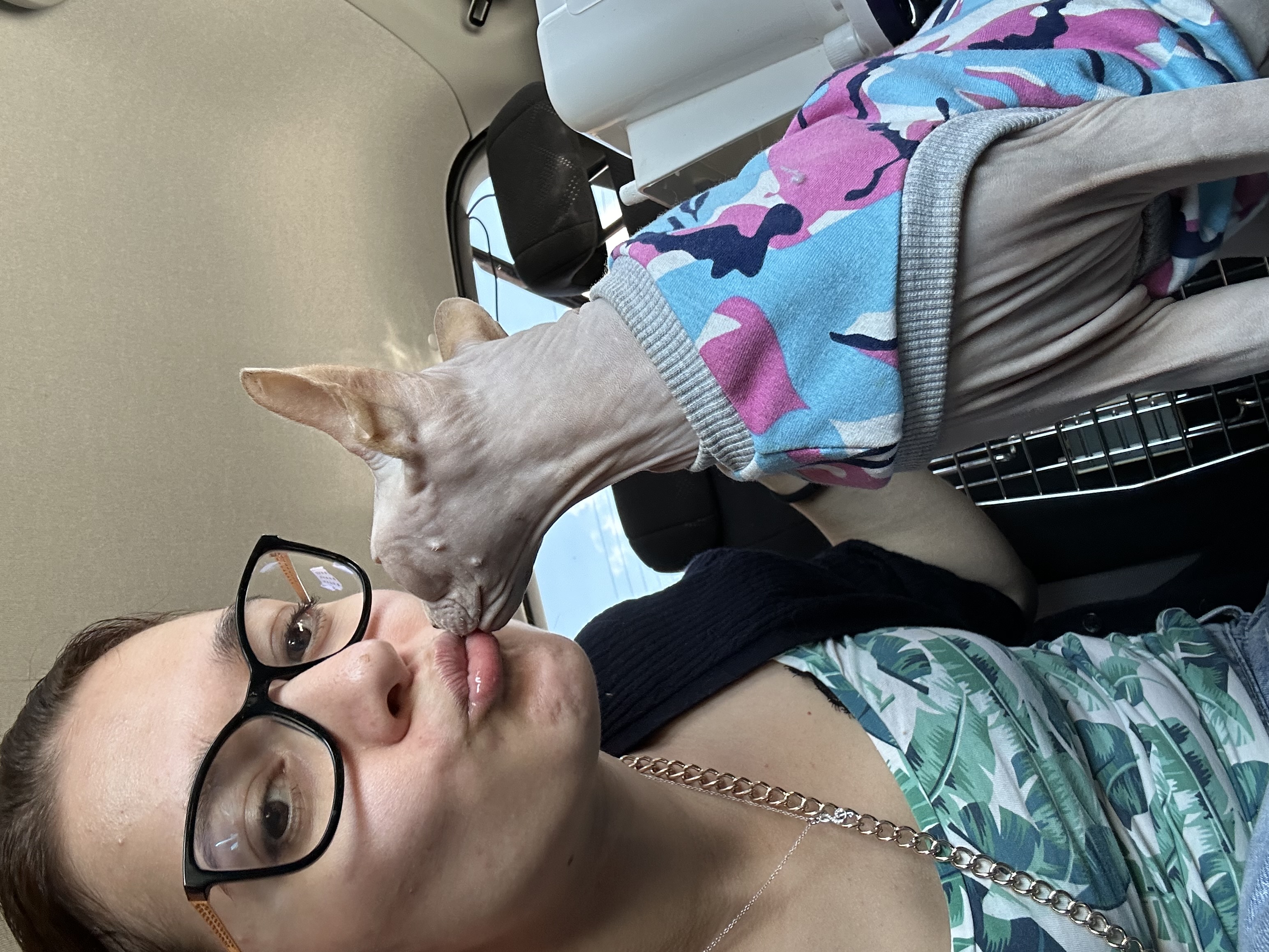 image-11