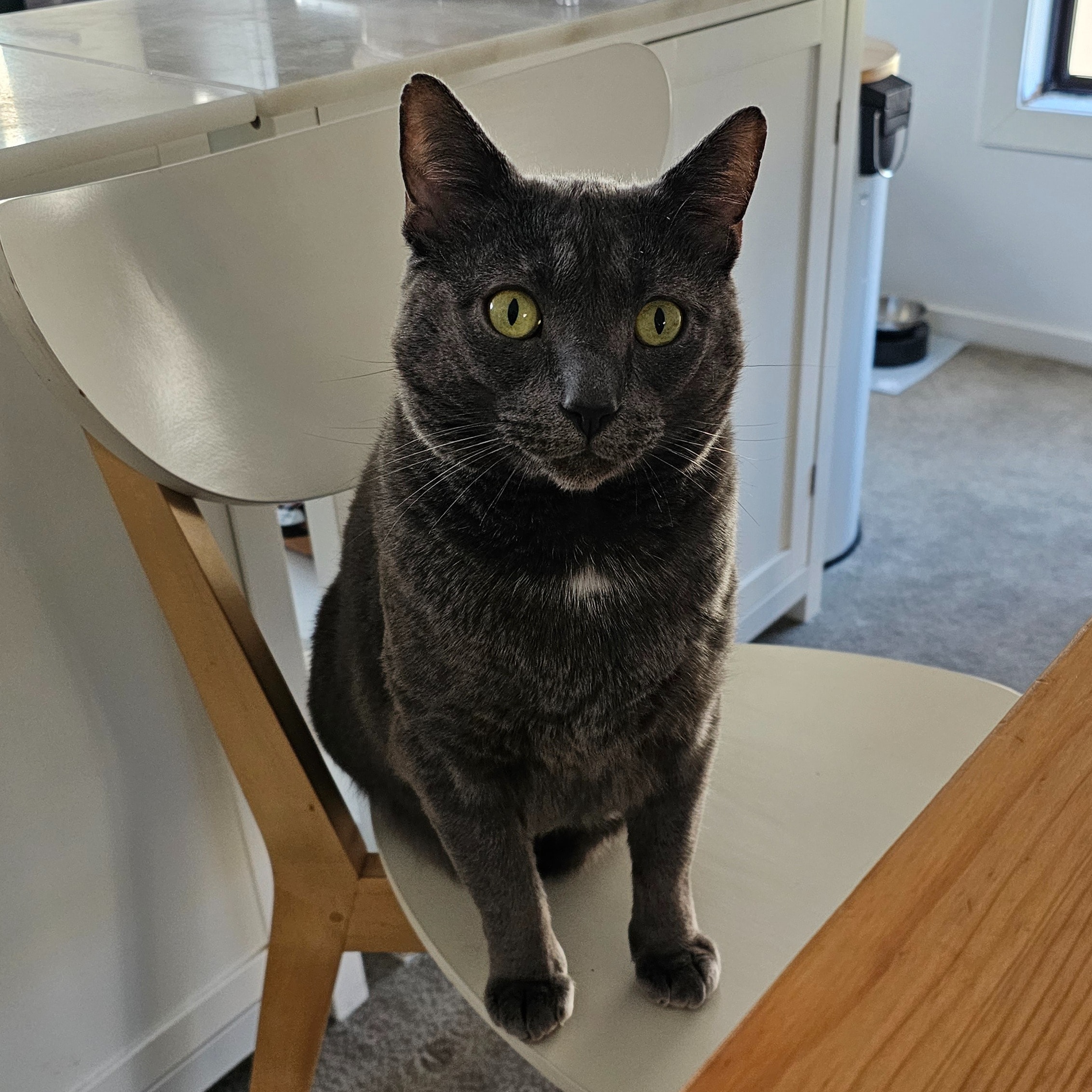 Tito