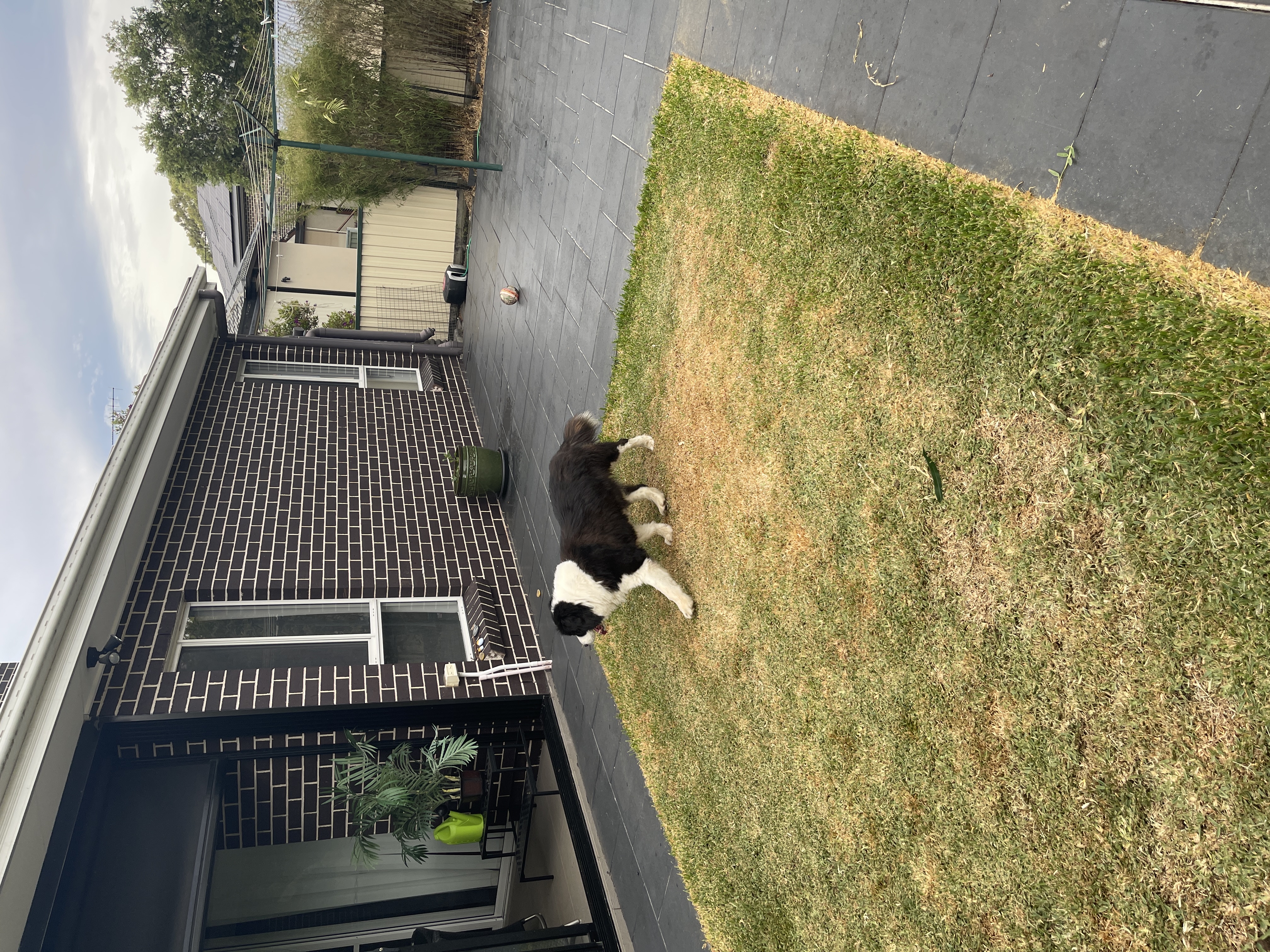 image-14
