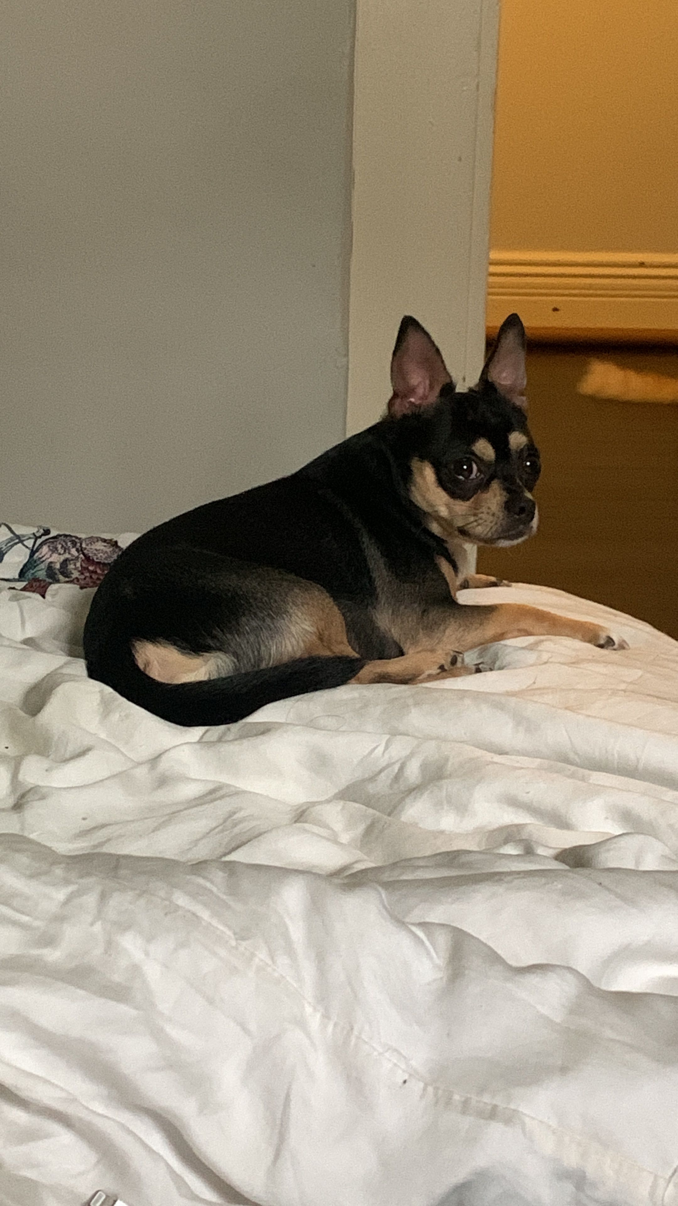 image-14
