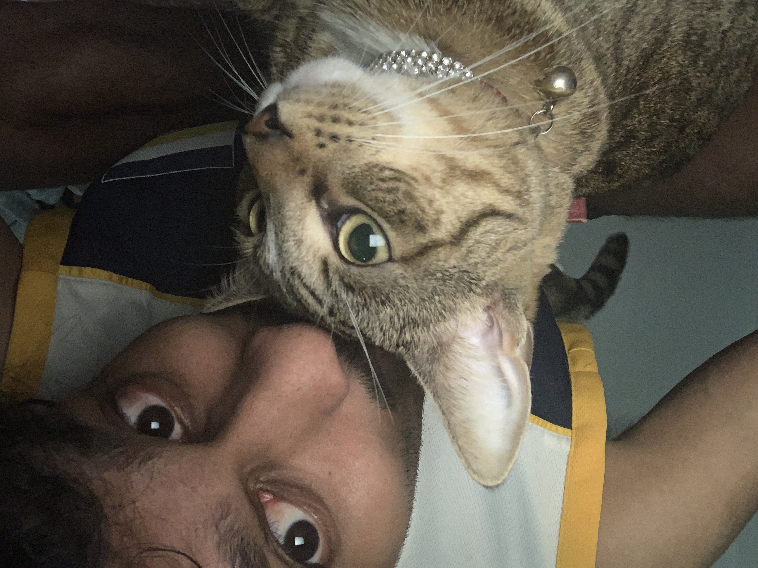 image-5