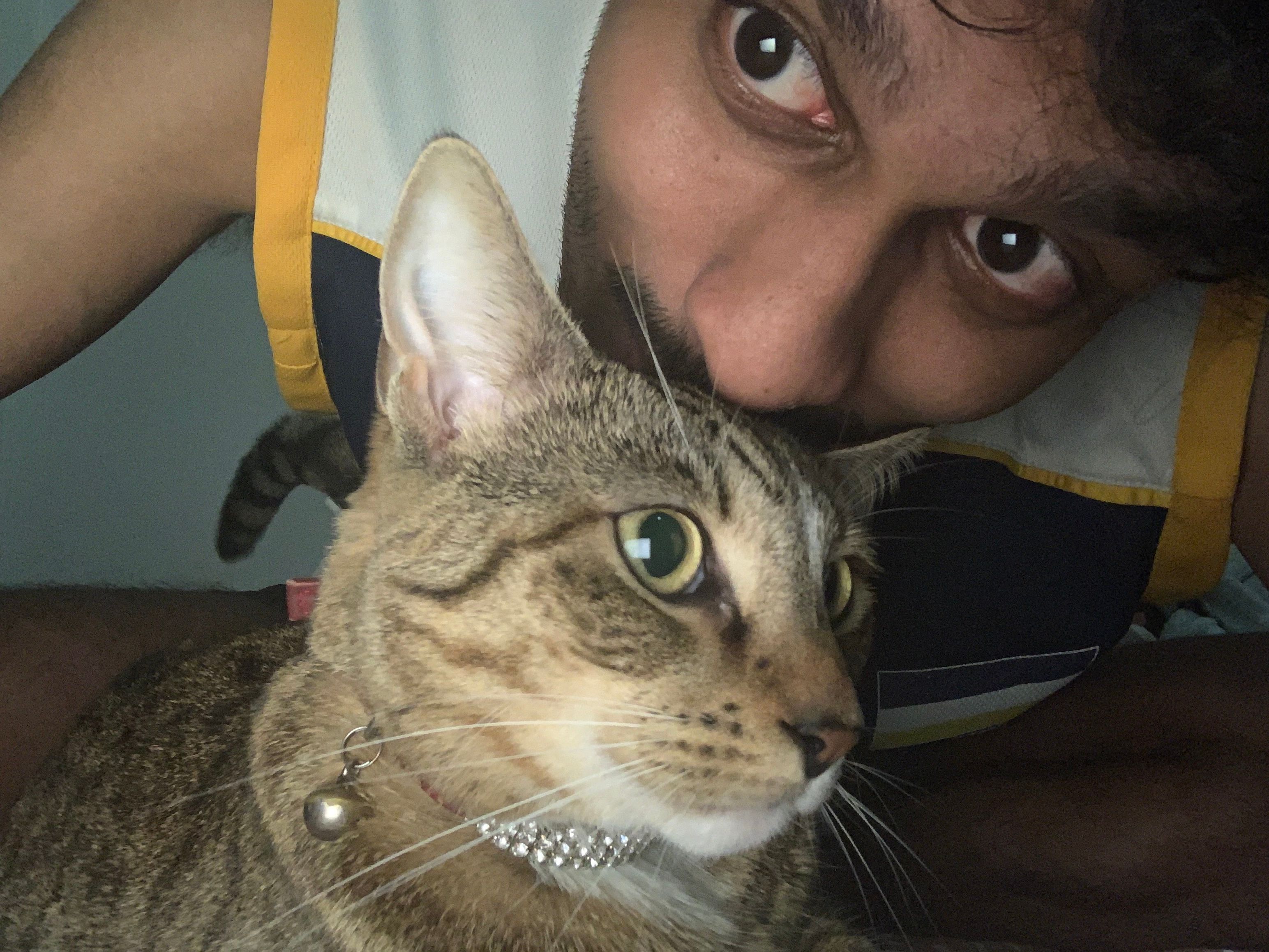image-5