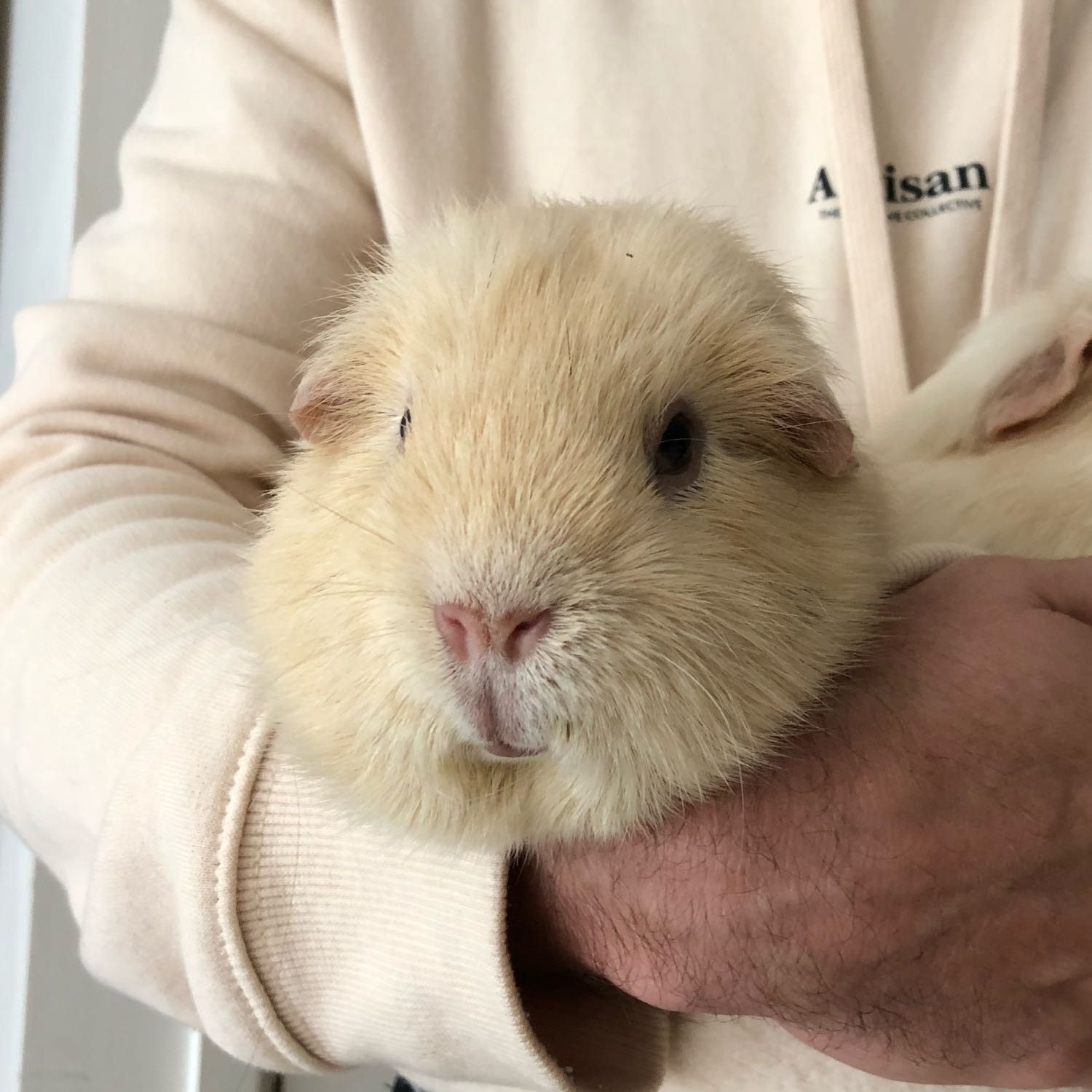 Sir Boris