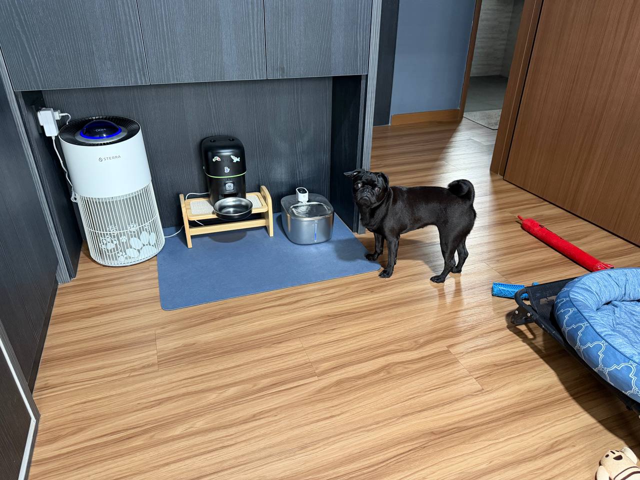 image-14