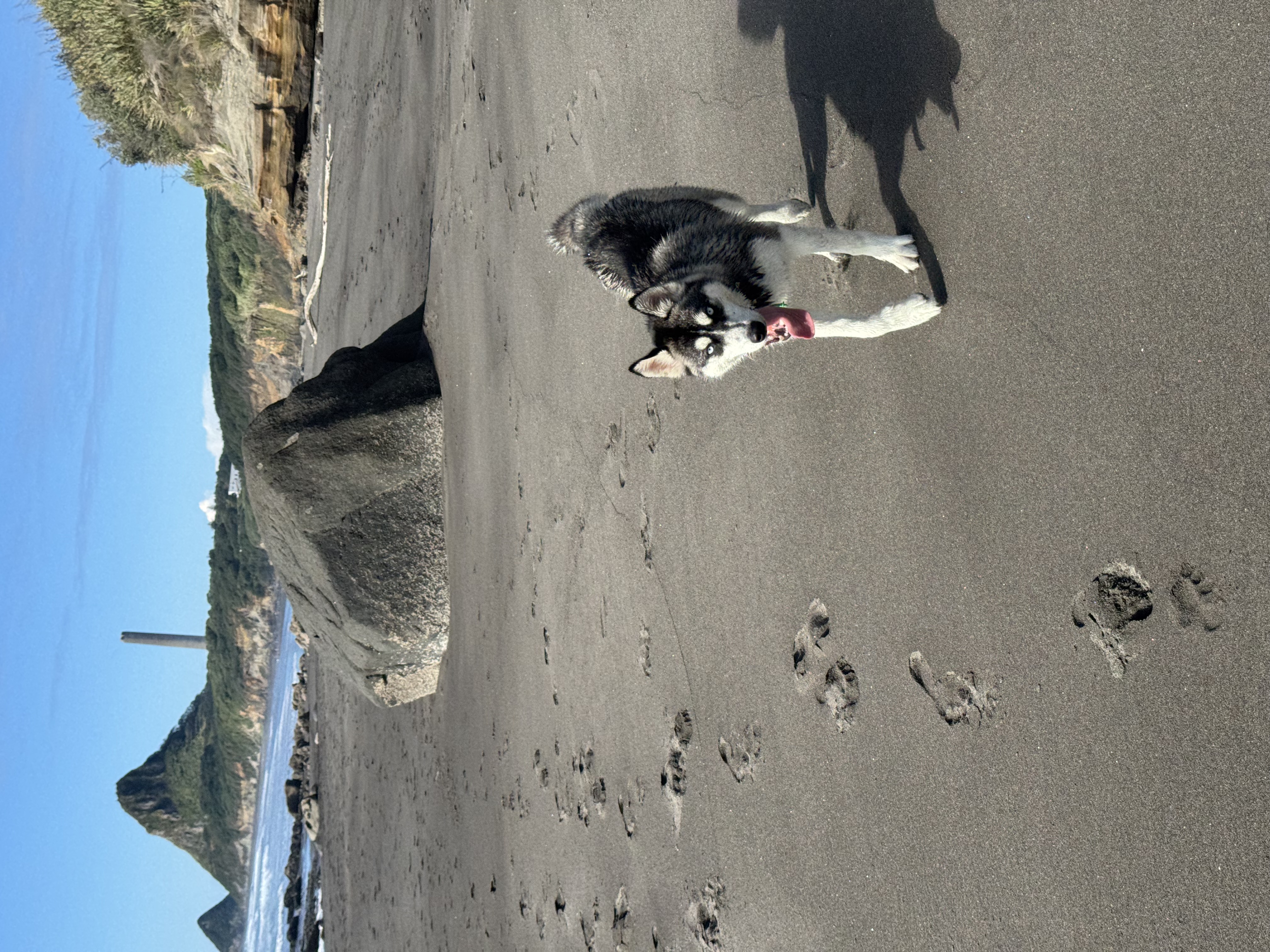 image-4