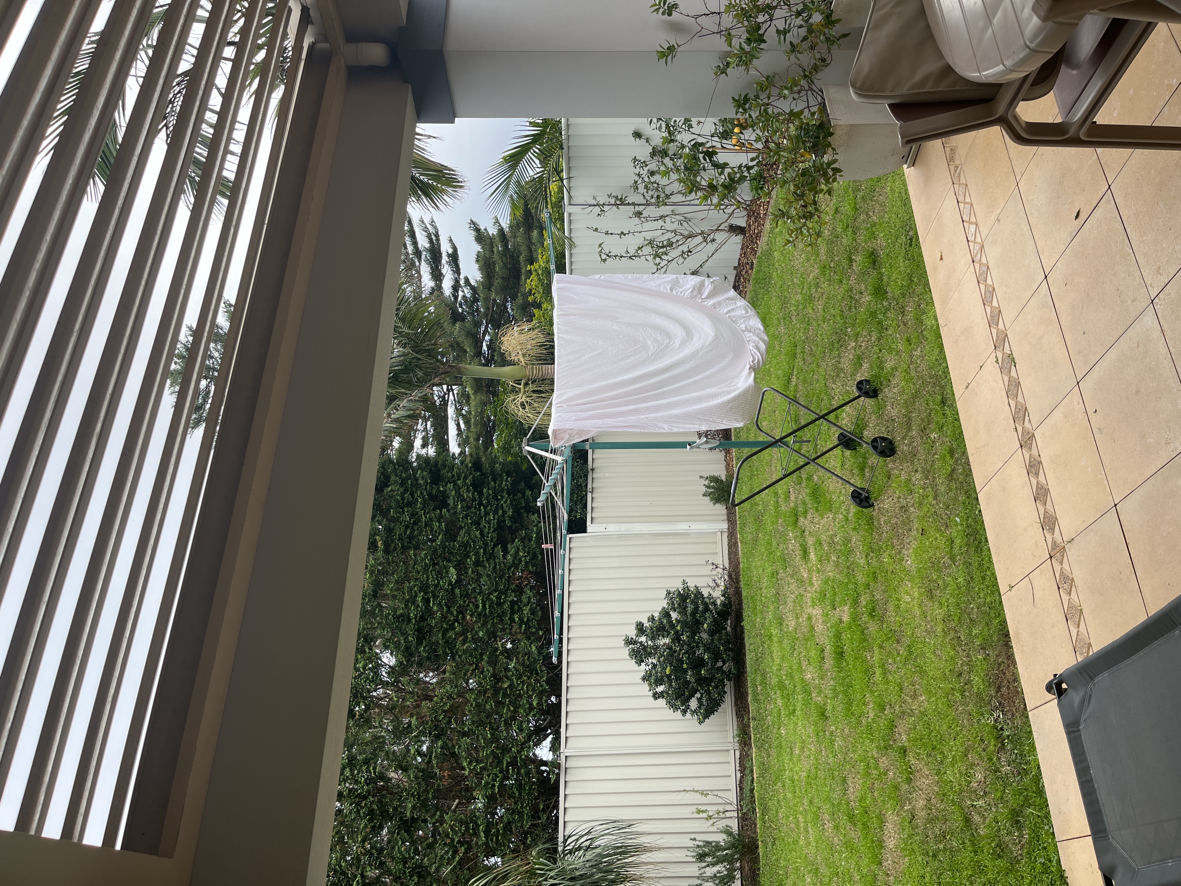 image-14