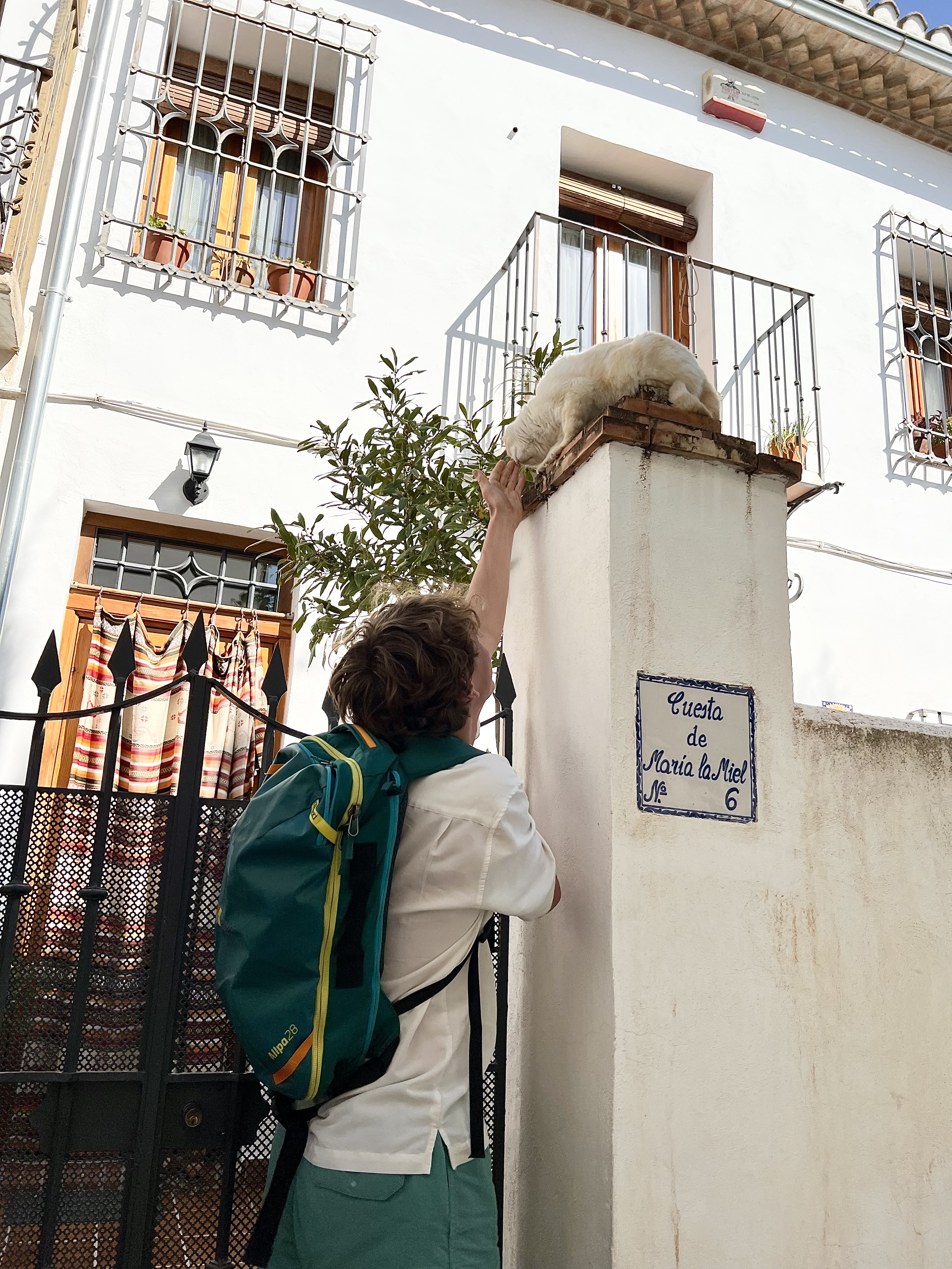 image-13