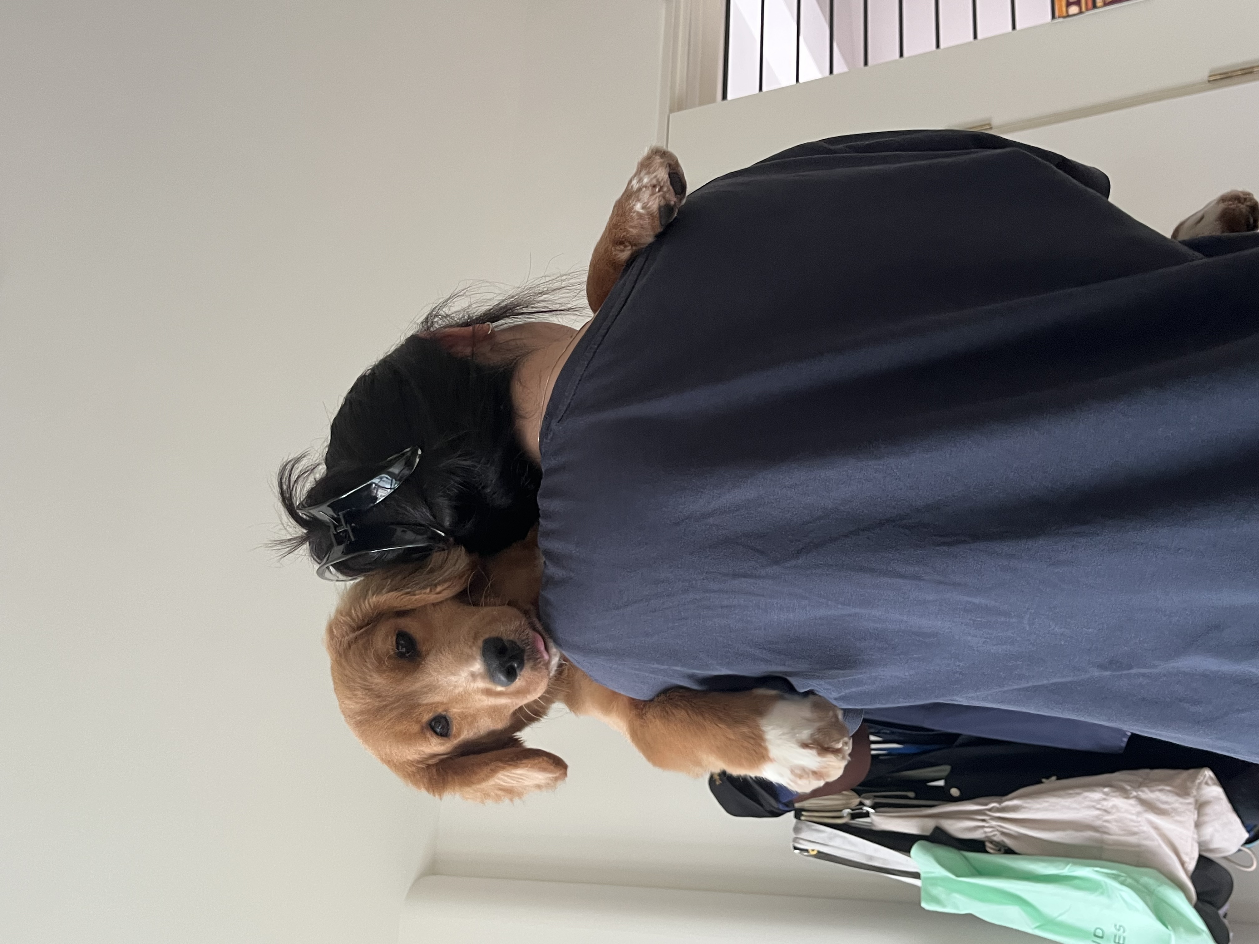 image-6